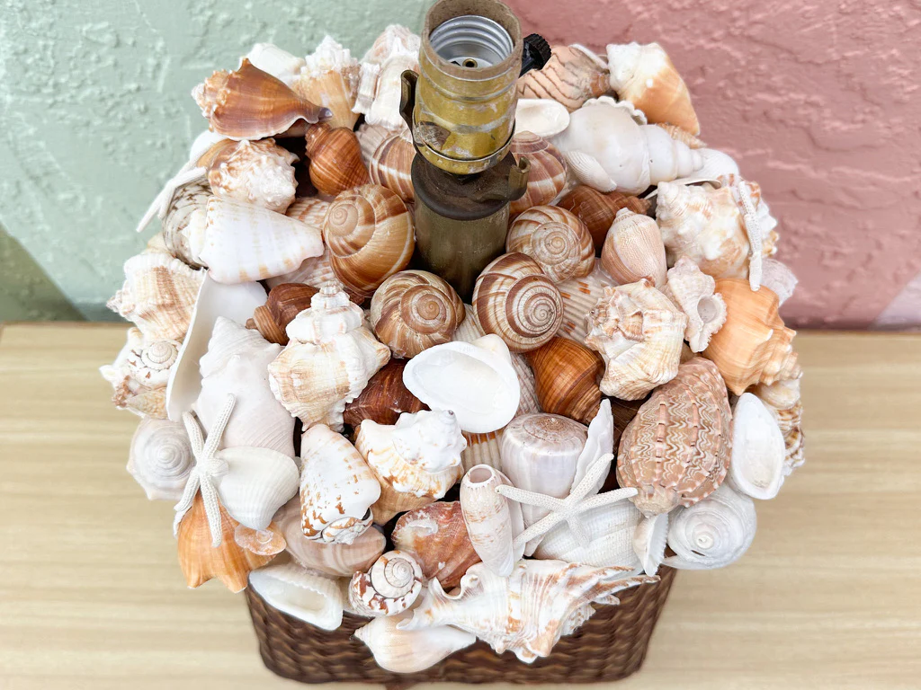 Shell Chic Basket Lamp - Image 5