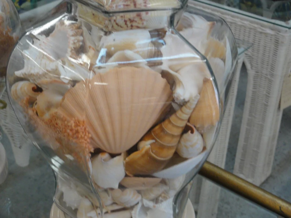 Amazing Sea Shell Ginger Jar Lamps - Image 11