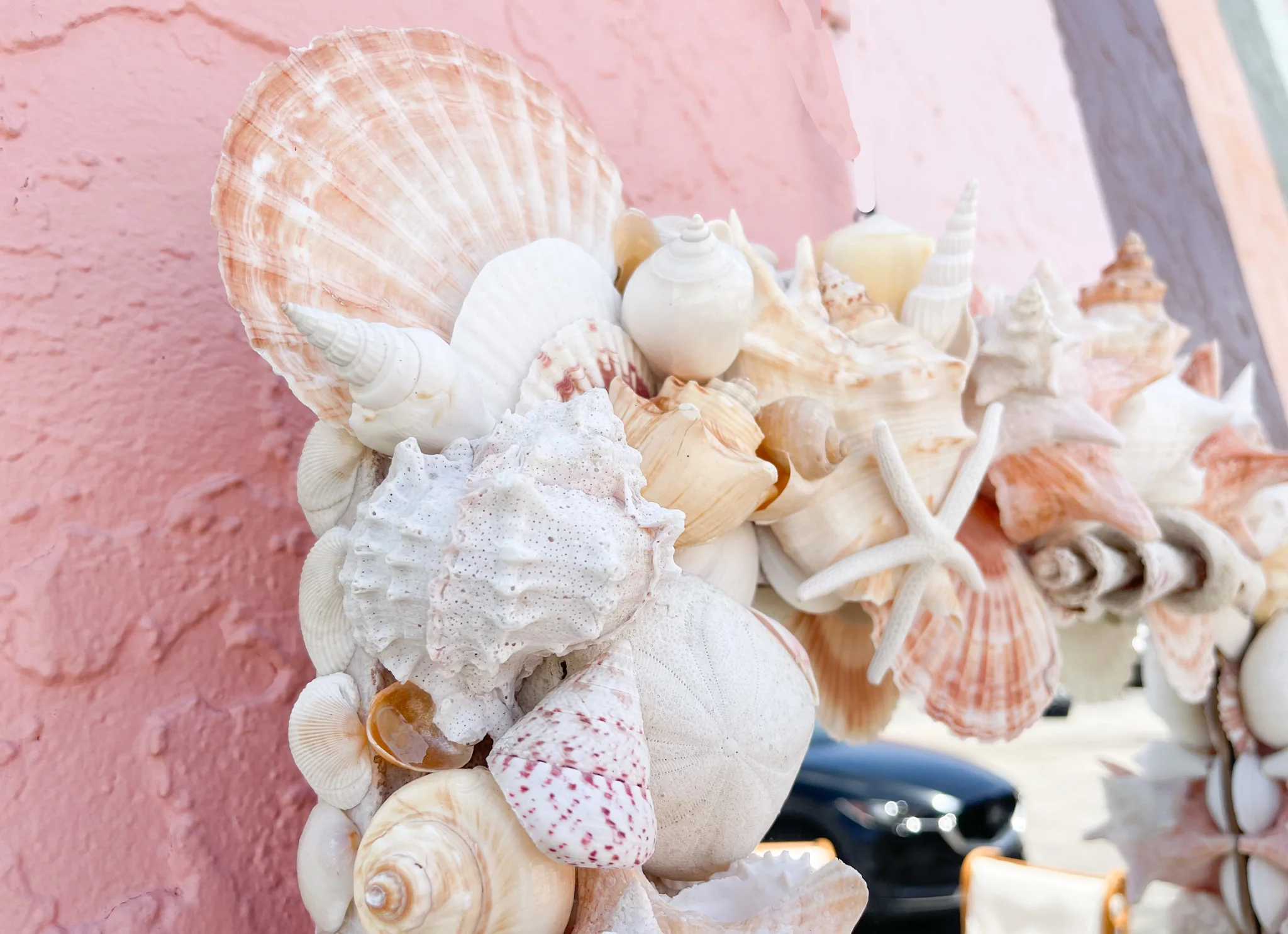 Bahamian Cat Key Shell Mirror - Image 3