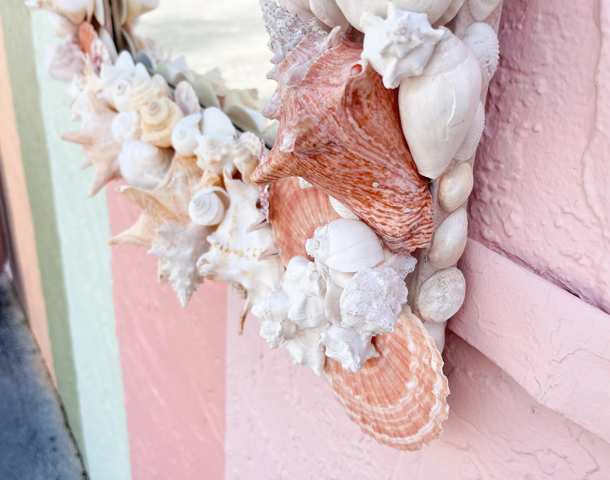 Bahamian Cat Key Shell Mirror - Image 8