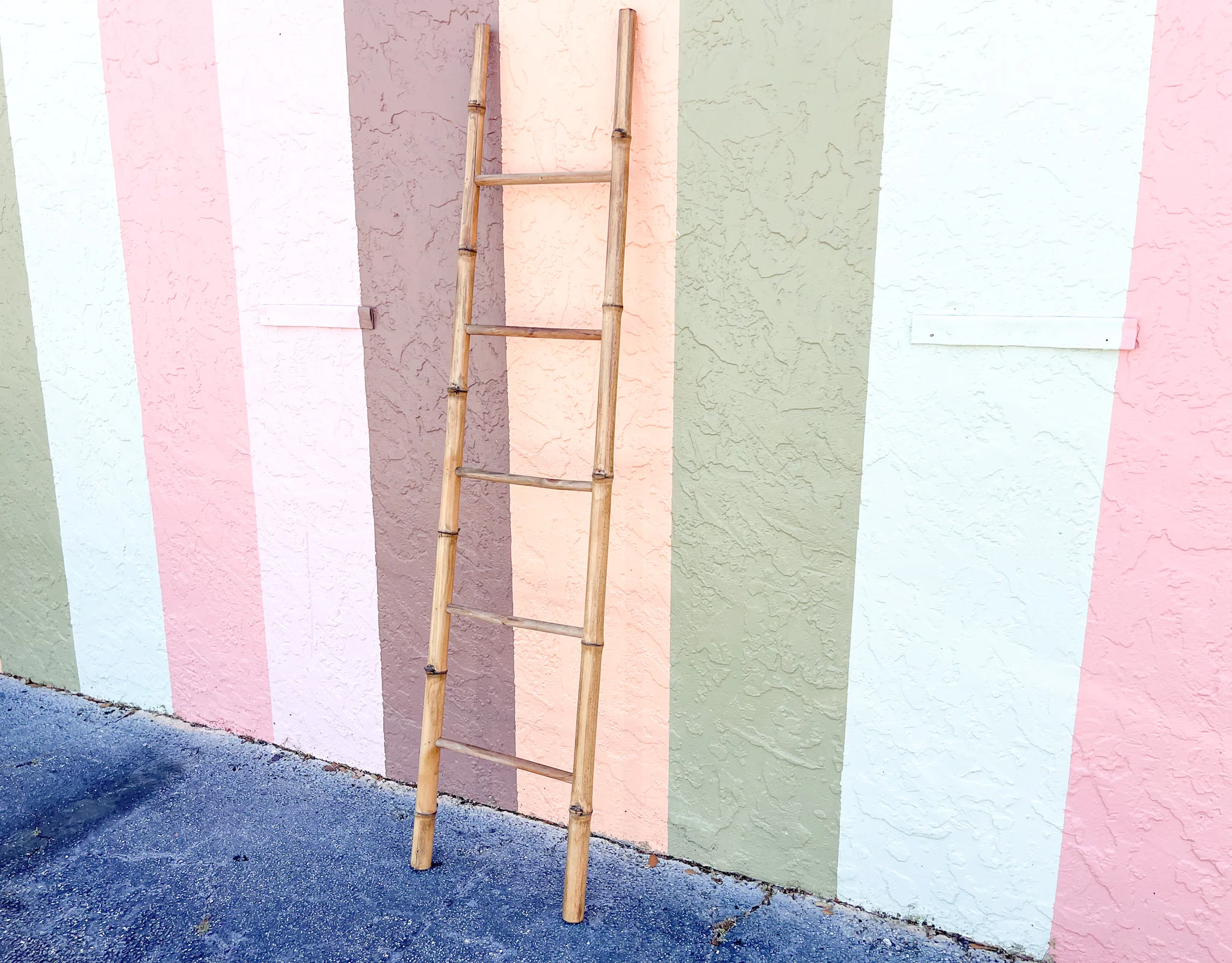 Bamboo Ladder