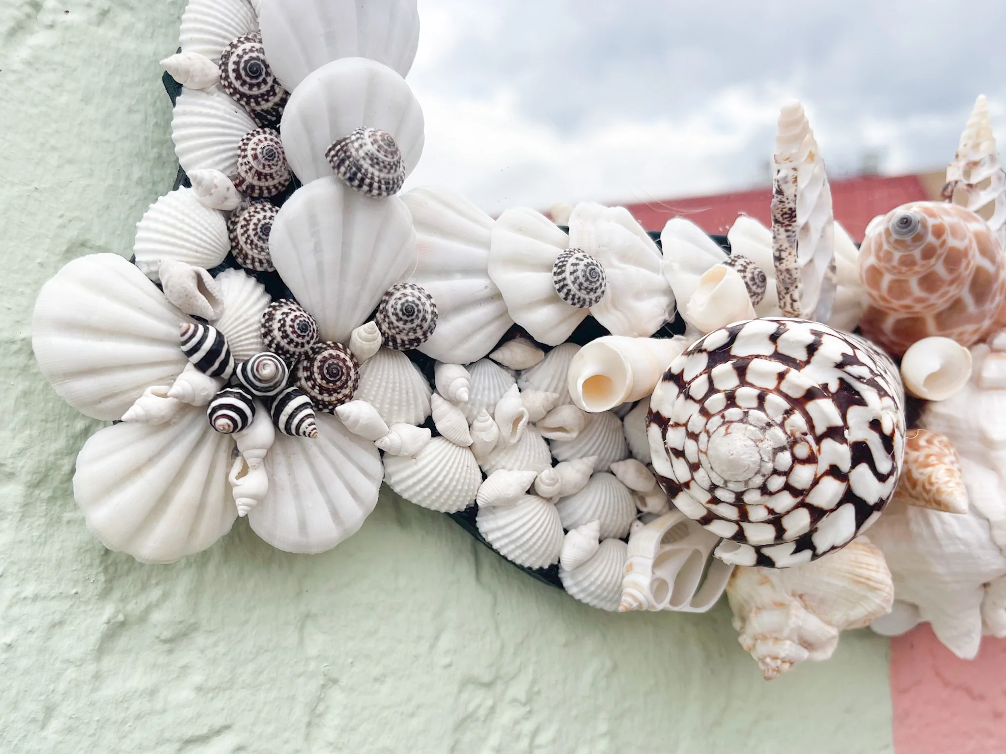 Black and White Shell Chic Mirror - Image 12