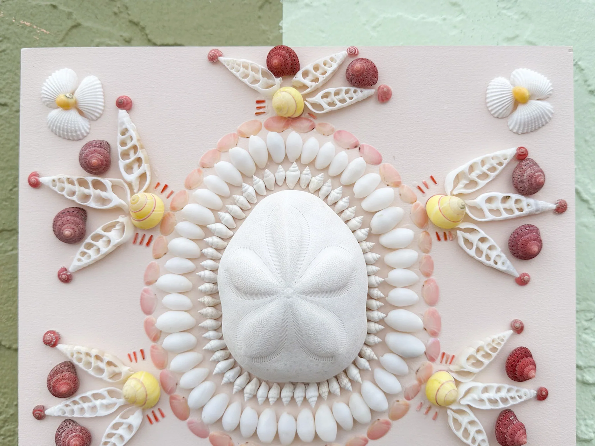 Blush Beauty Shell Panel - Image 4