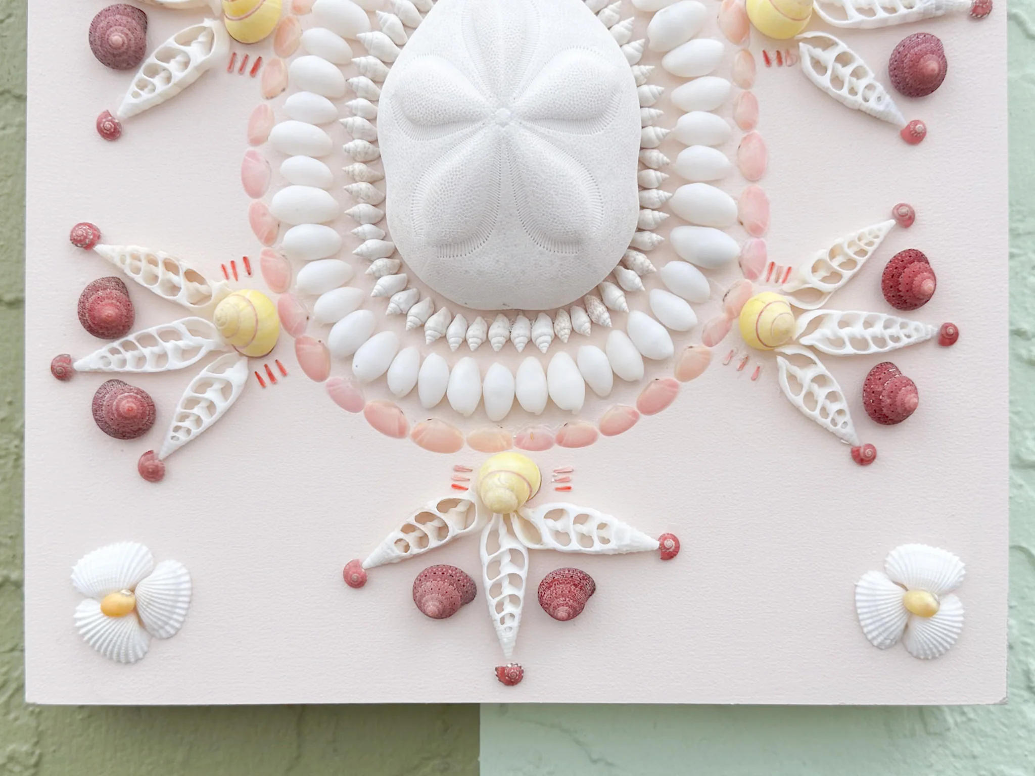 Blush Beauty Shell Panel - Image 5