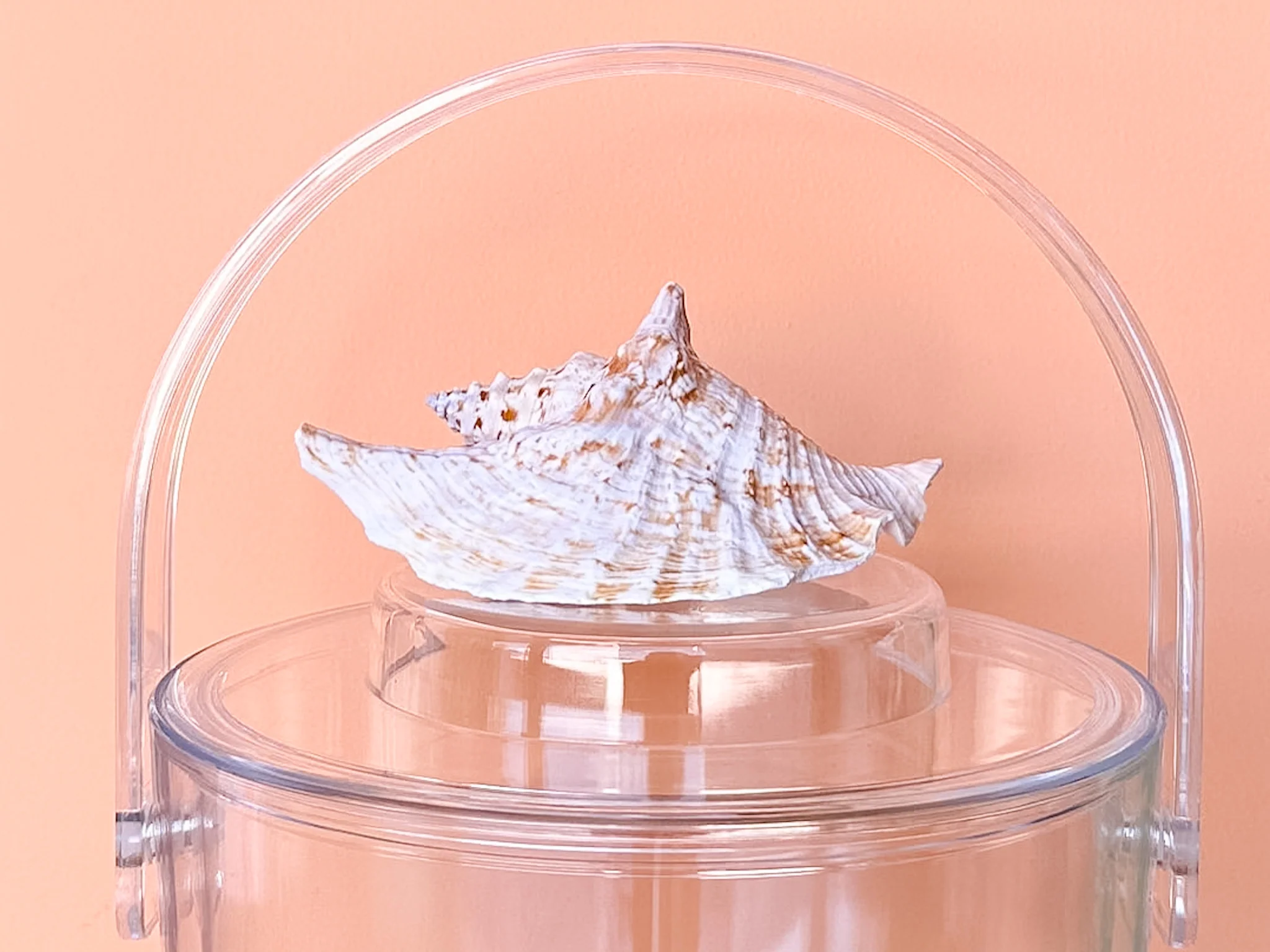 Brown Conch Shell Lucite Ice Bucket - Image 4