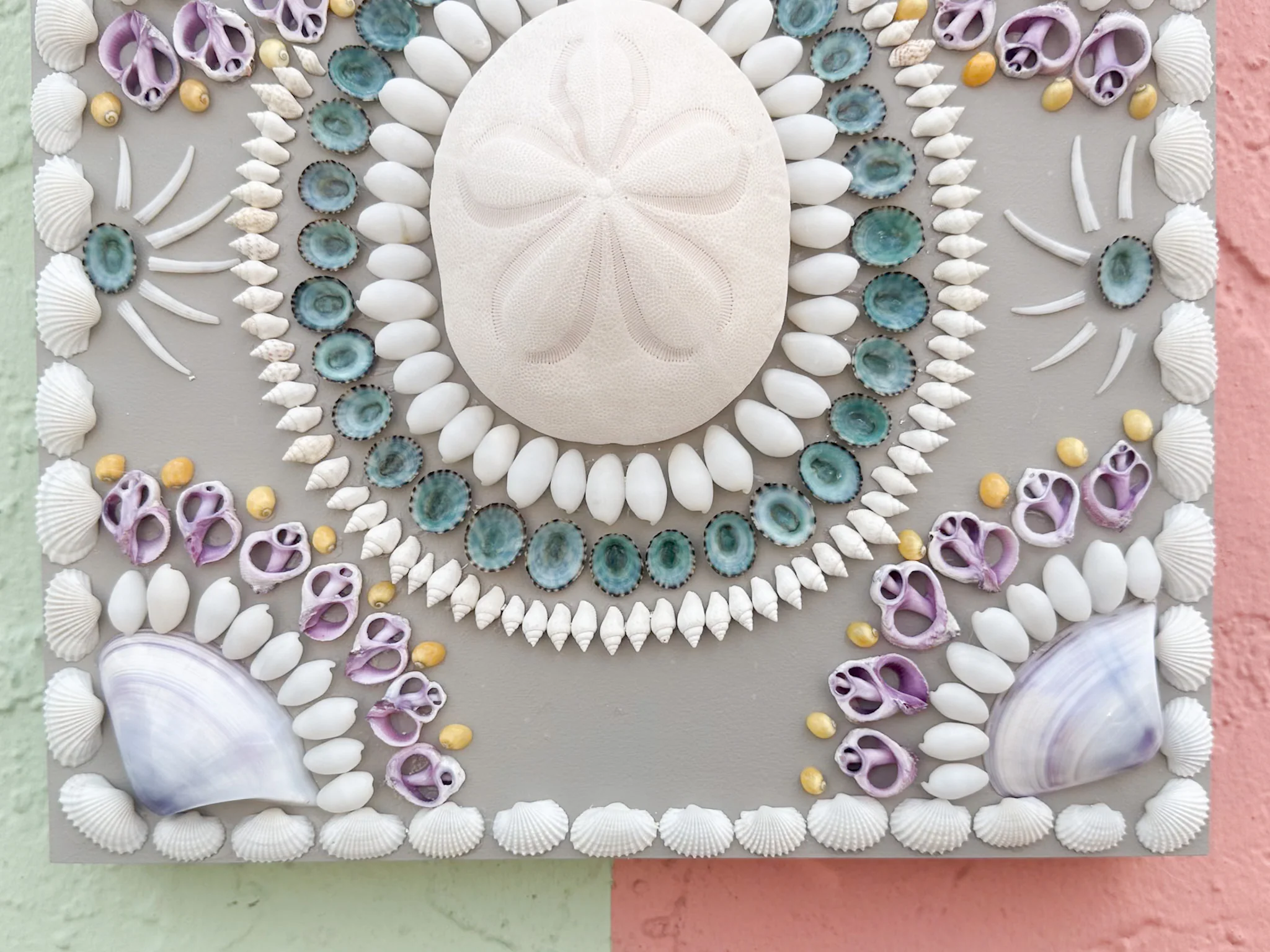 Coastal Cool Shell Panel - Image 4