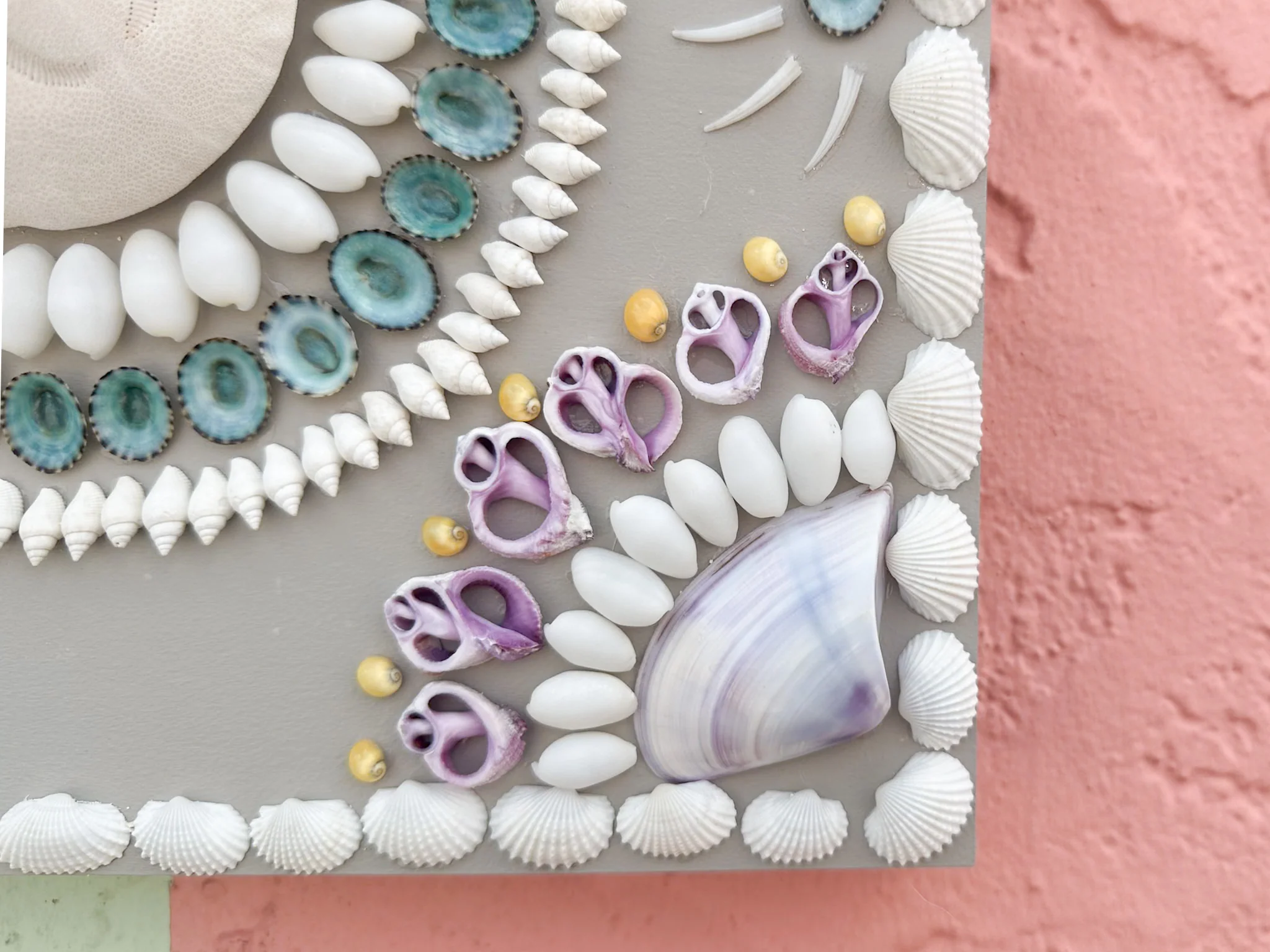 Coastal Cool Shell Panel - Image 5