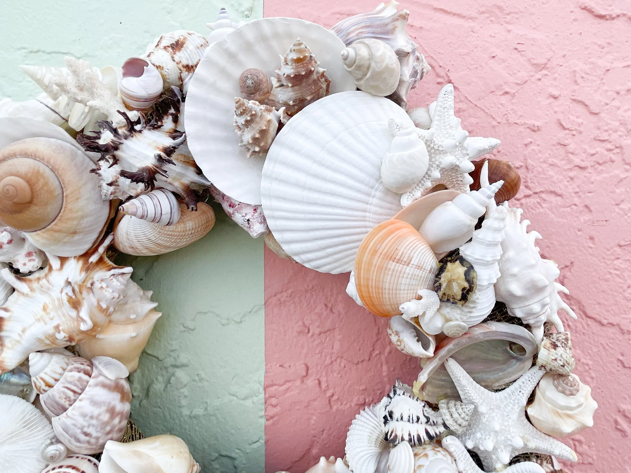 Coastal Shell Holiday Wreath - Image 3