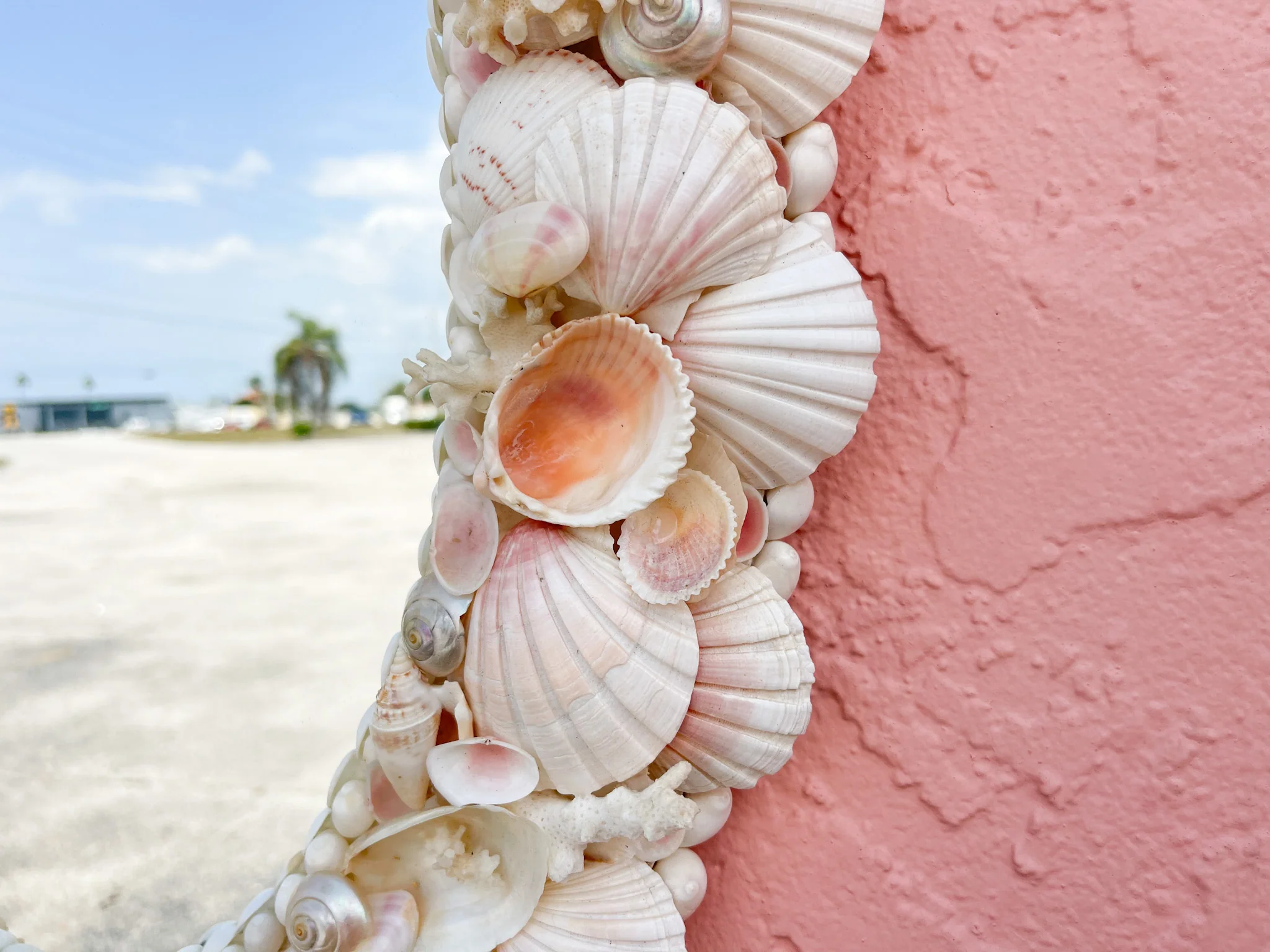 Cute Oval Seashell Mirror - Image 10