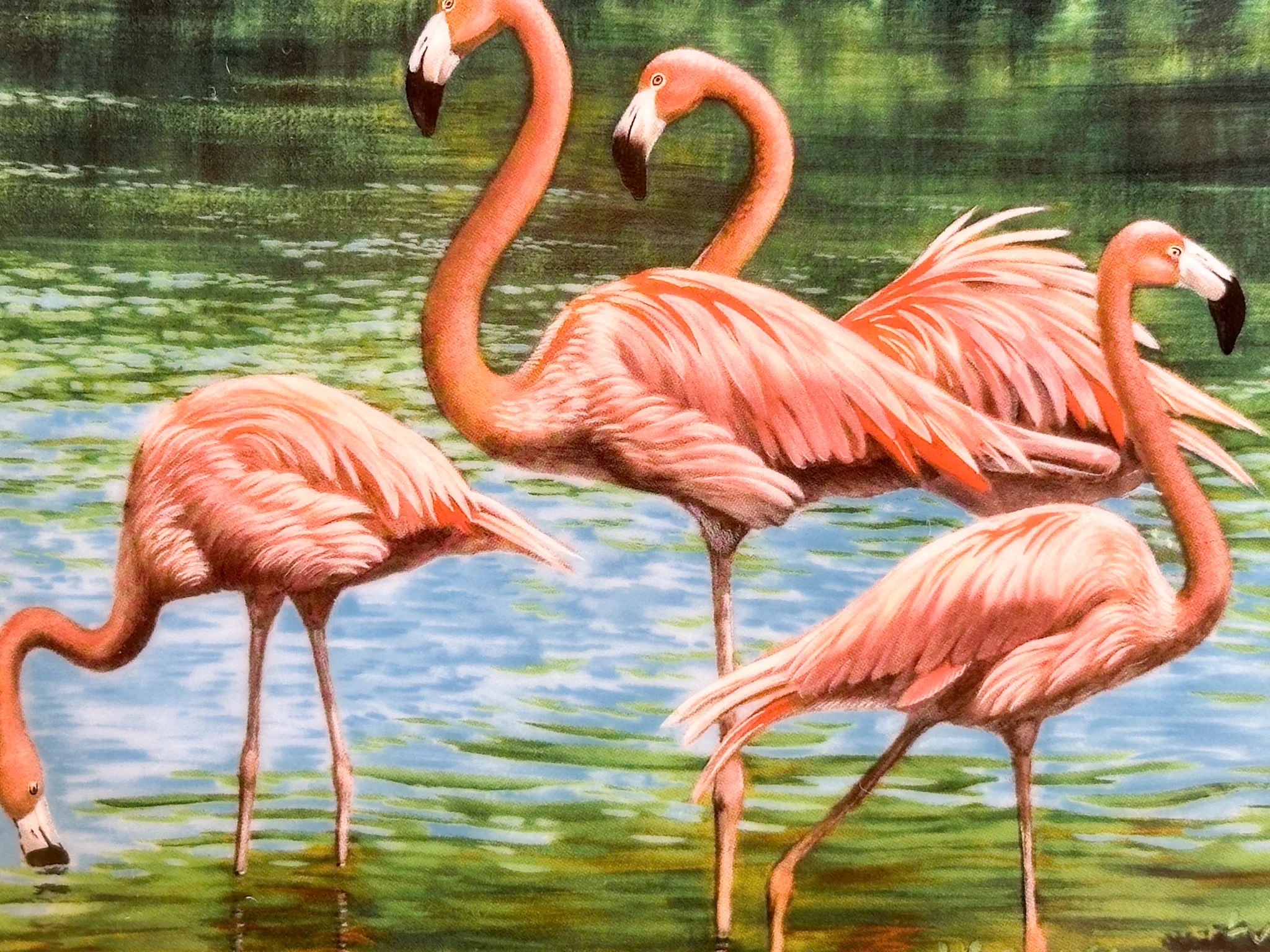 Flamingo Plate - Image 5