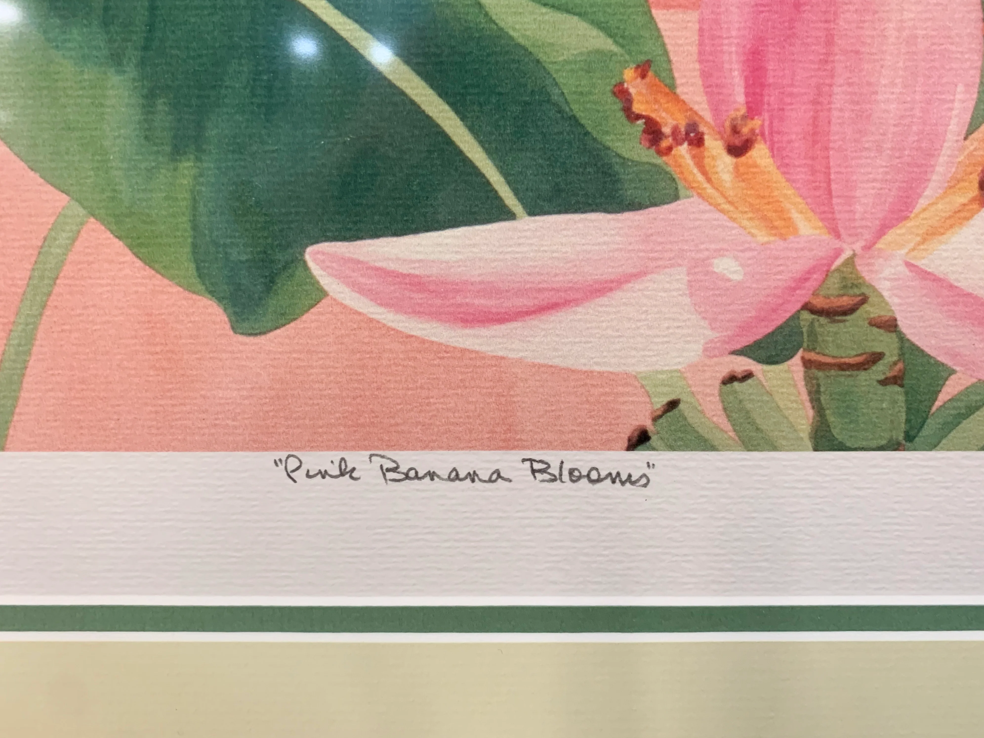 Pink Banana Blooms by Jennifer Ardolino - Image 3