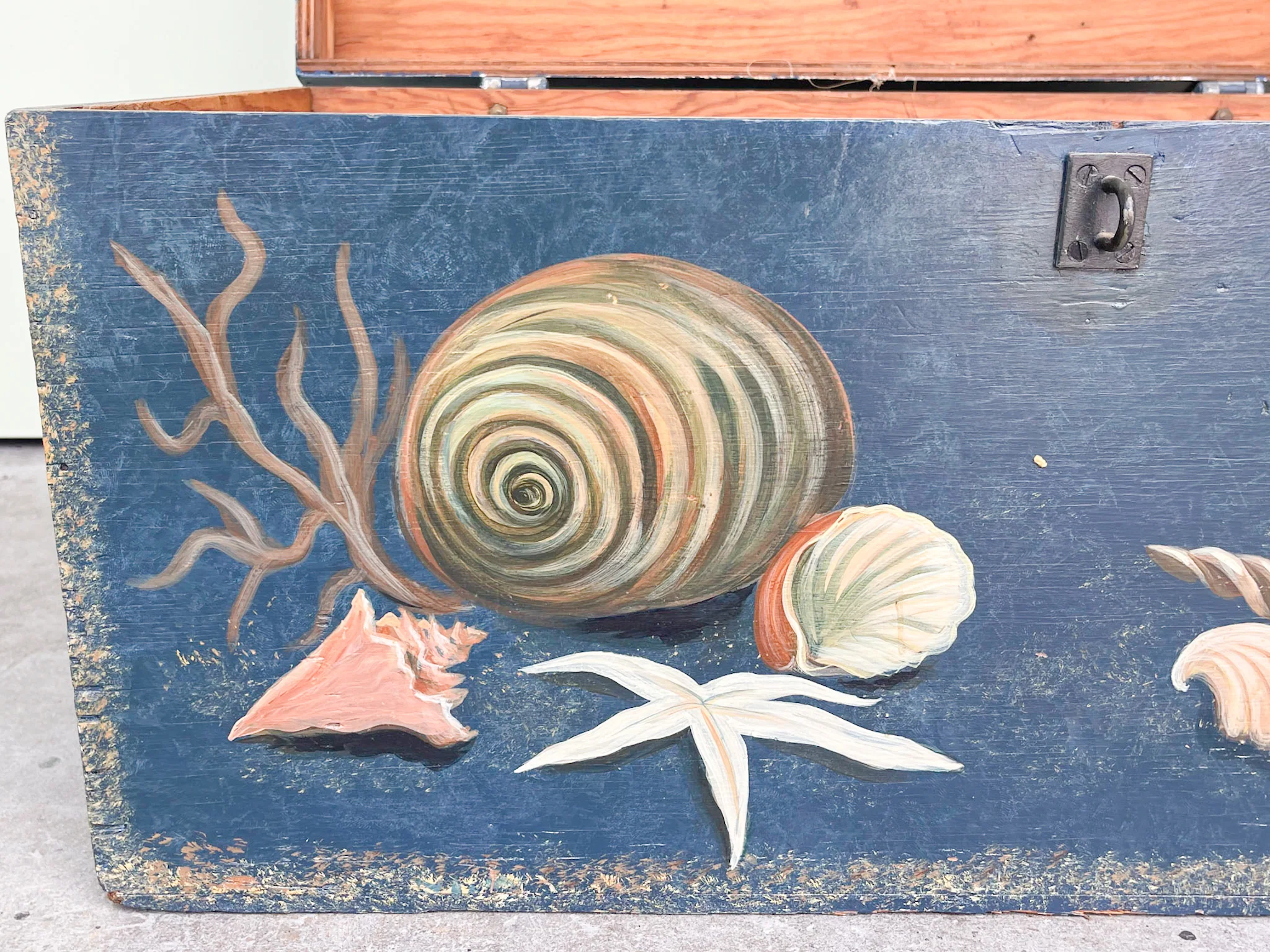 Old Florida Hand Painted Seashell Trunk - Image 6