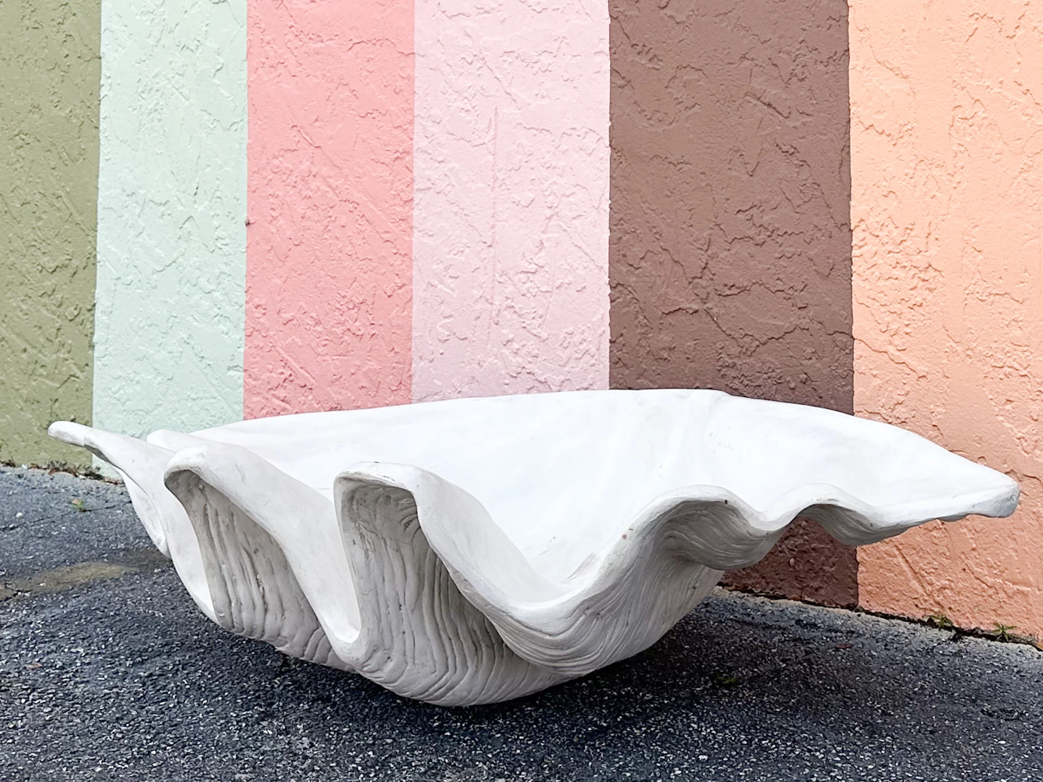 Huge Faux Clam Shell - Image 3