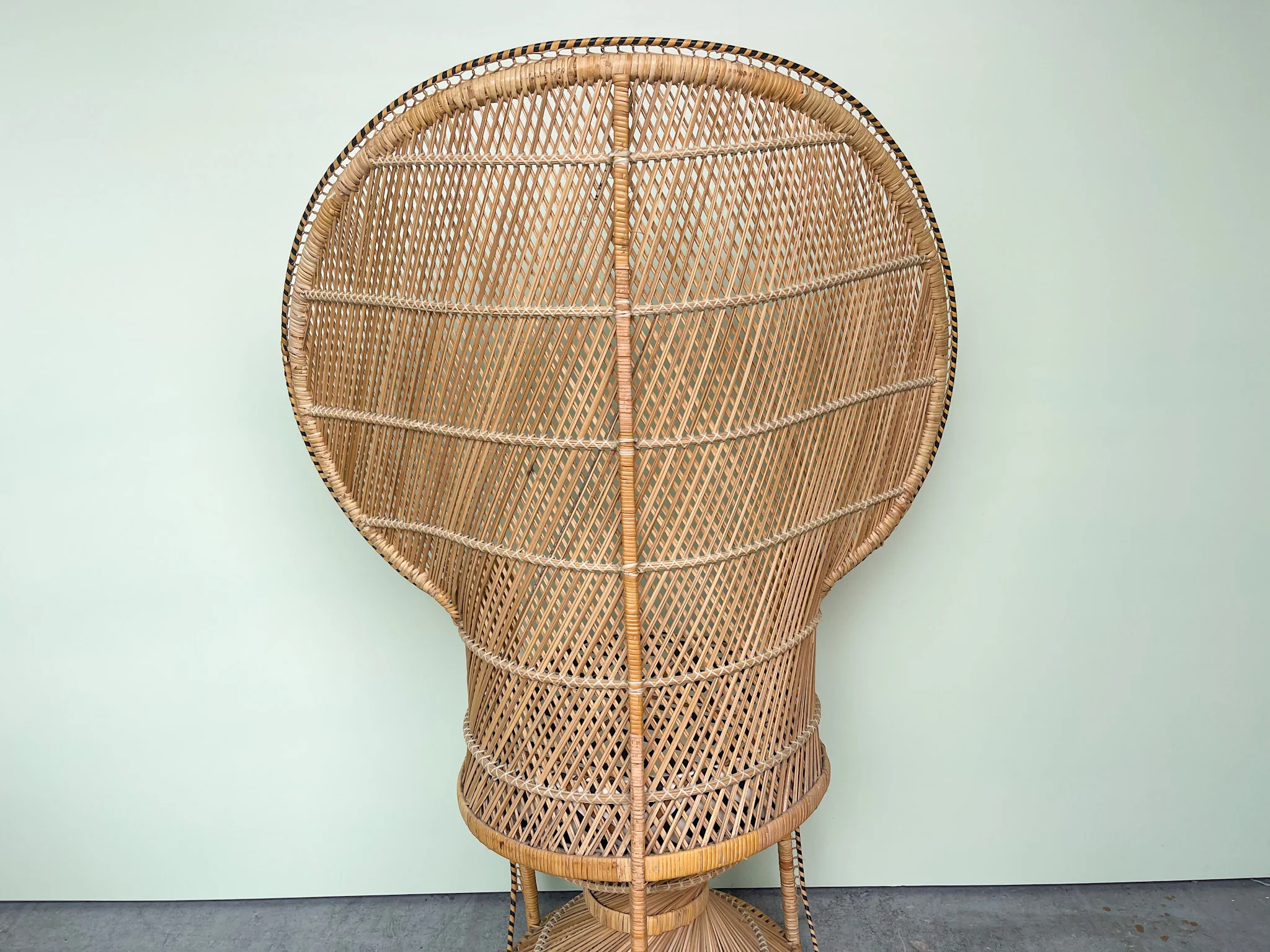 Island Style Rattan Peacock Chair - Image 7