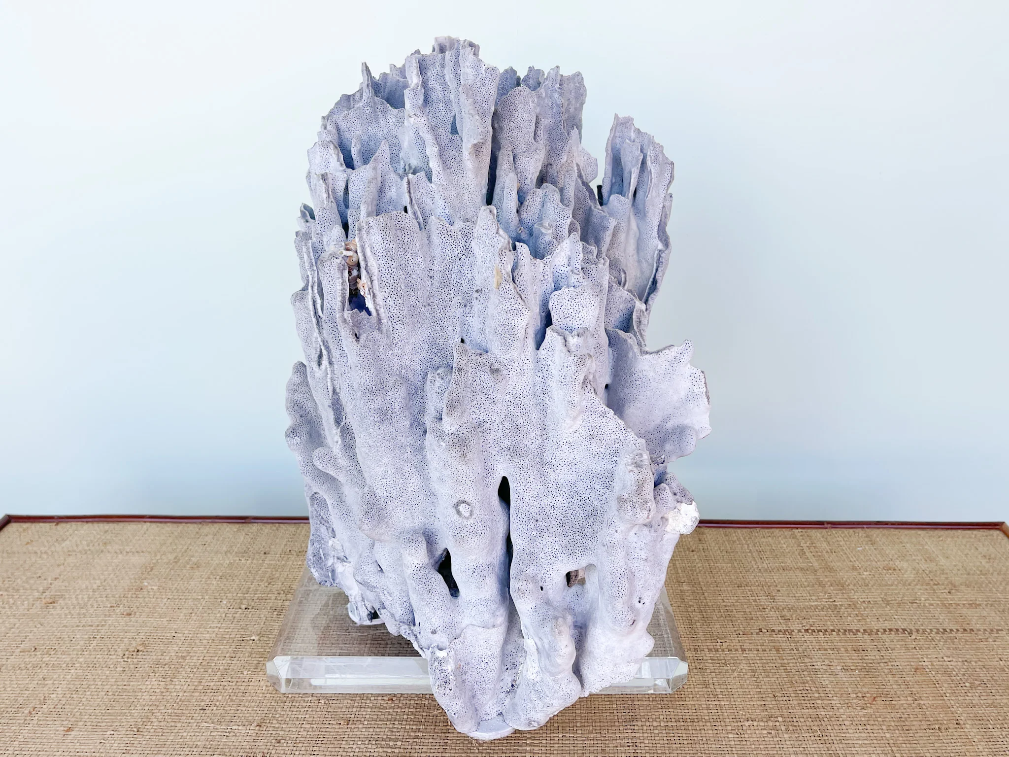 Large Blue Coral on Lucite - Image 4