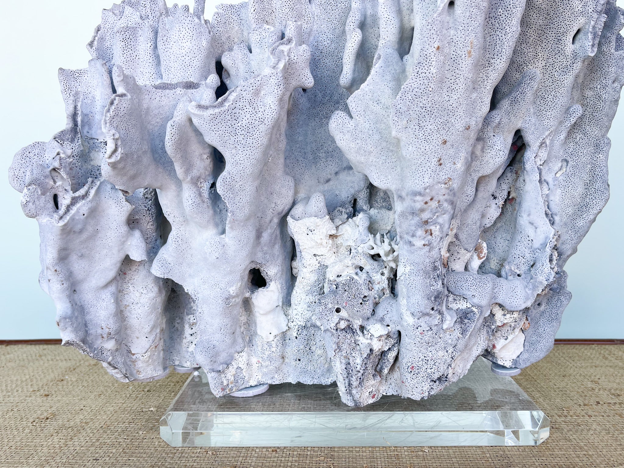 Large Blue Coral on Lucite - Image 7