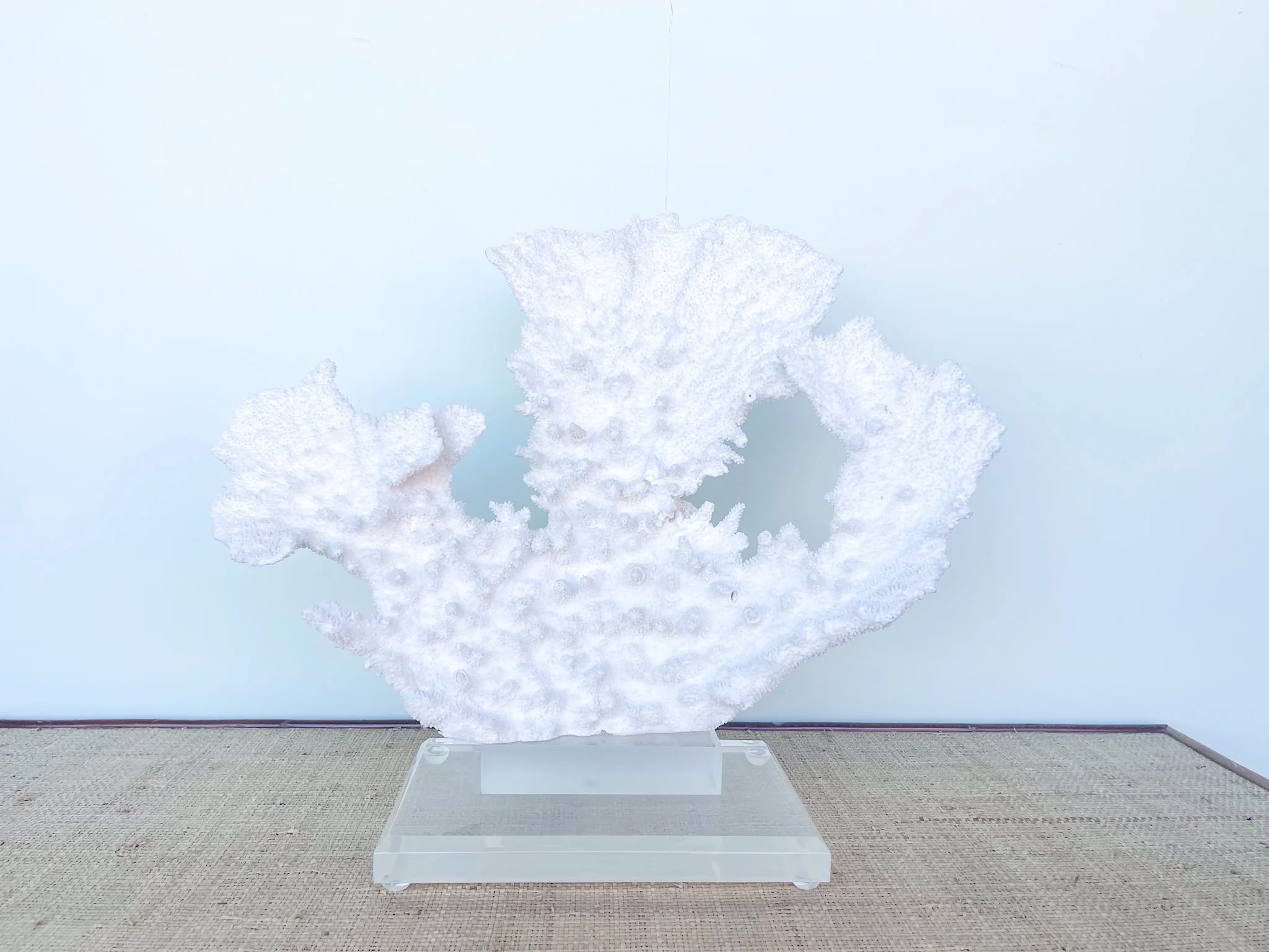 Large Cream Coral on Lucite - Image 8
