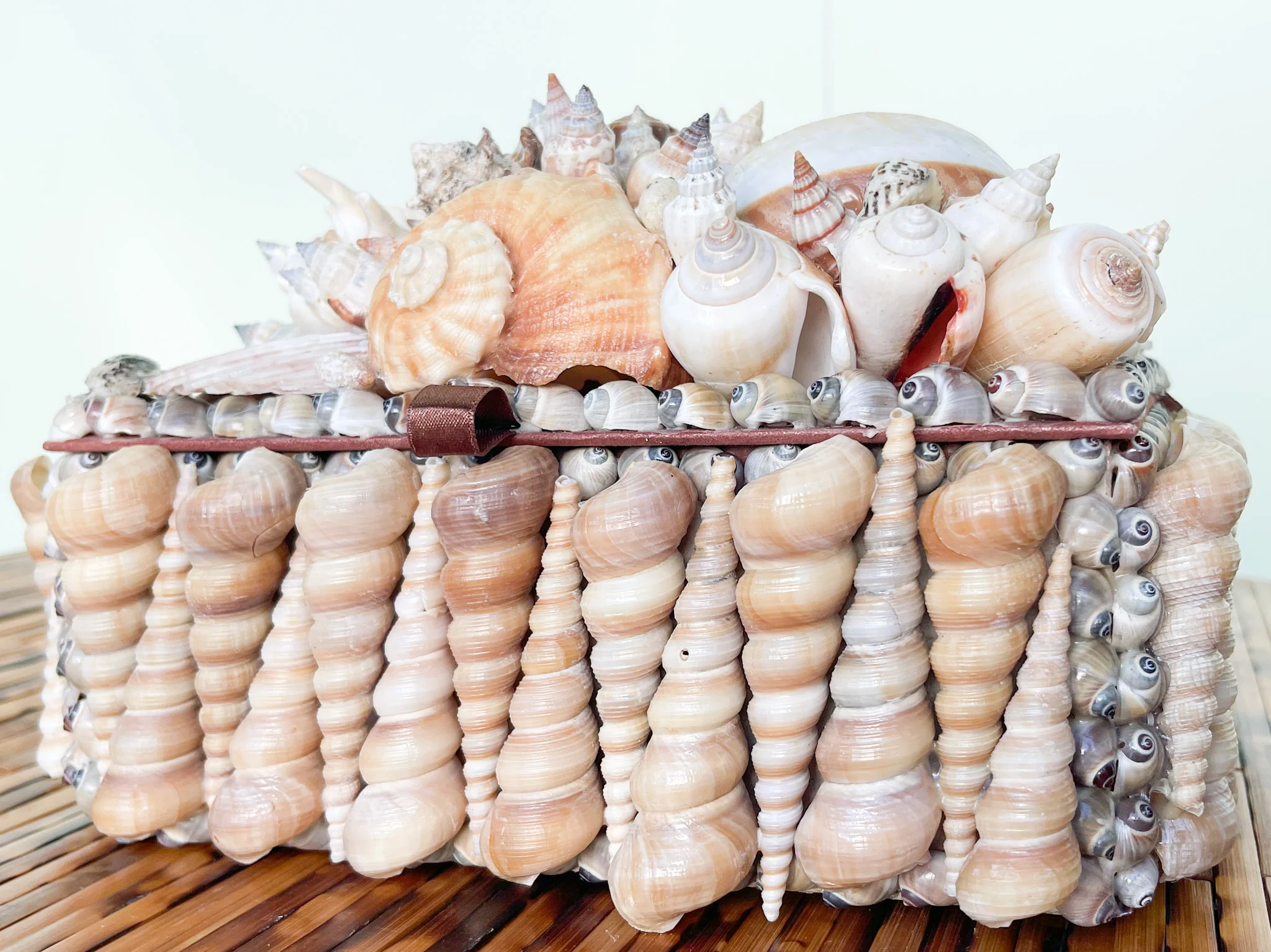 Large Shell Keepsake Box - Image 3