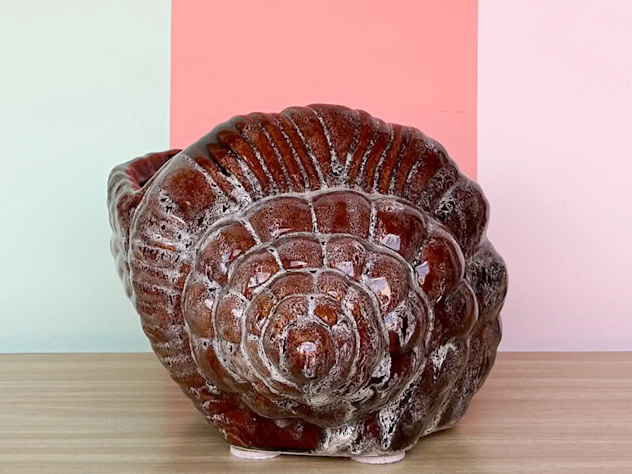 Large Old Florida Horse Conch Shell Cachepot - Image 3