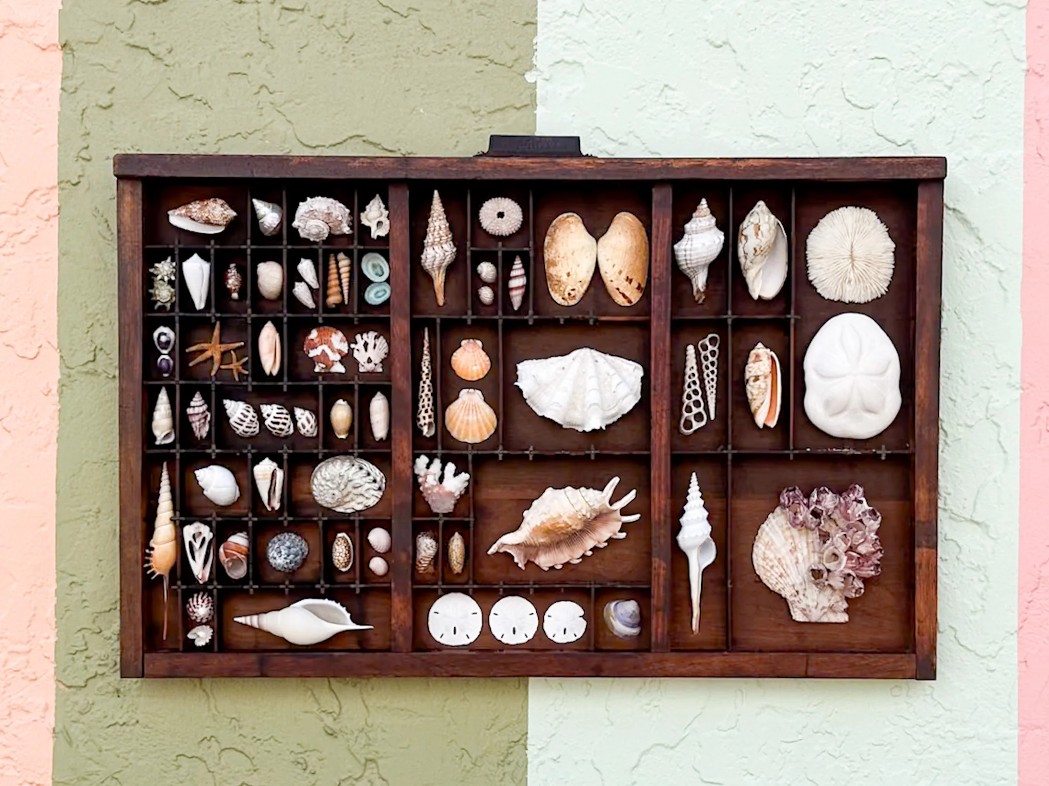 Large Printers Tray Shell Display - Image 7