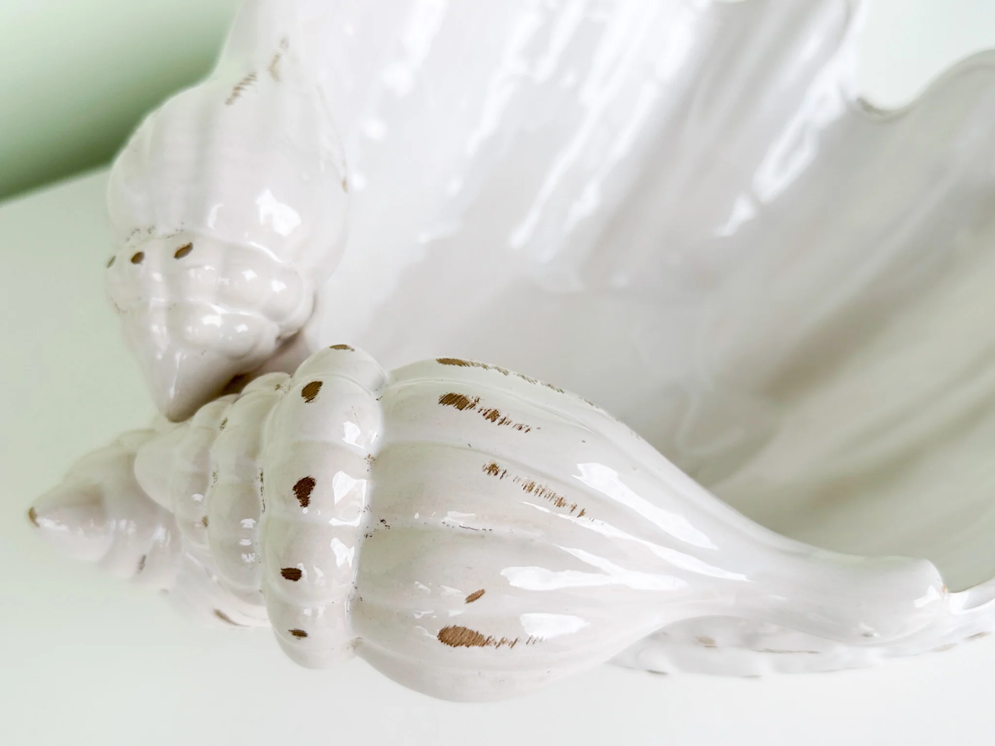 Large Shell Cachepot - Image 4