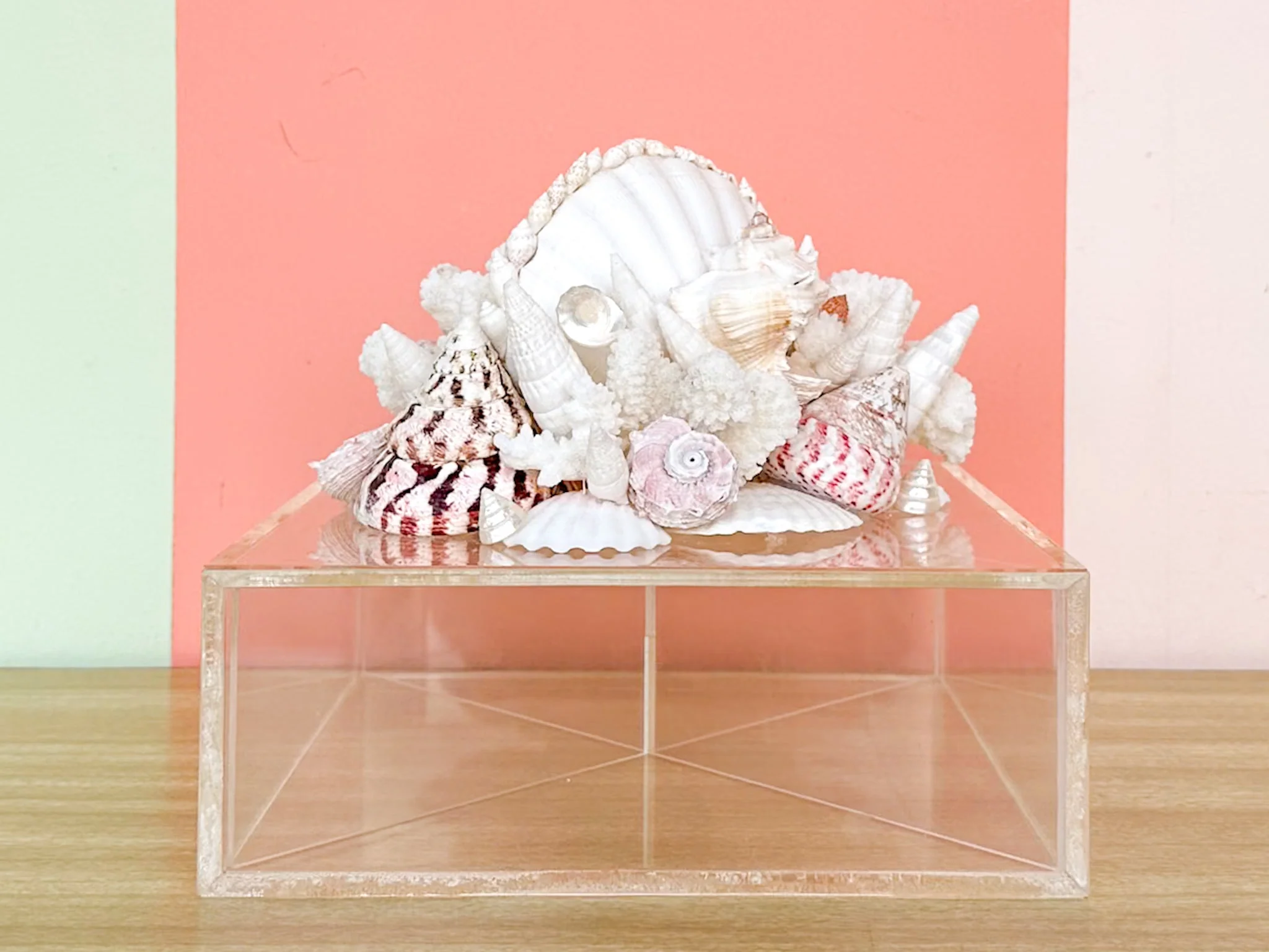 Lucite Box Shell Art Workshop at Palm Beach Regency