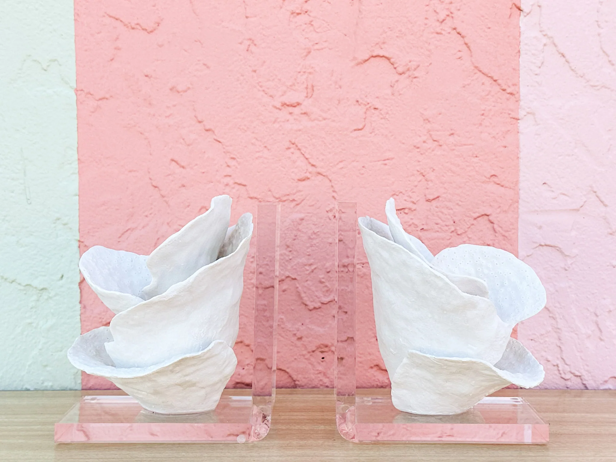 Lucite Coral Bookends - Image 2