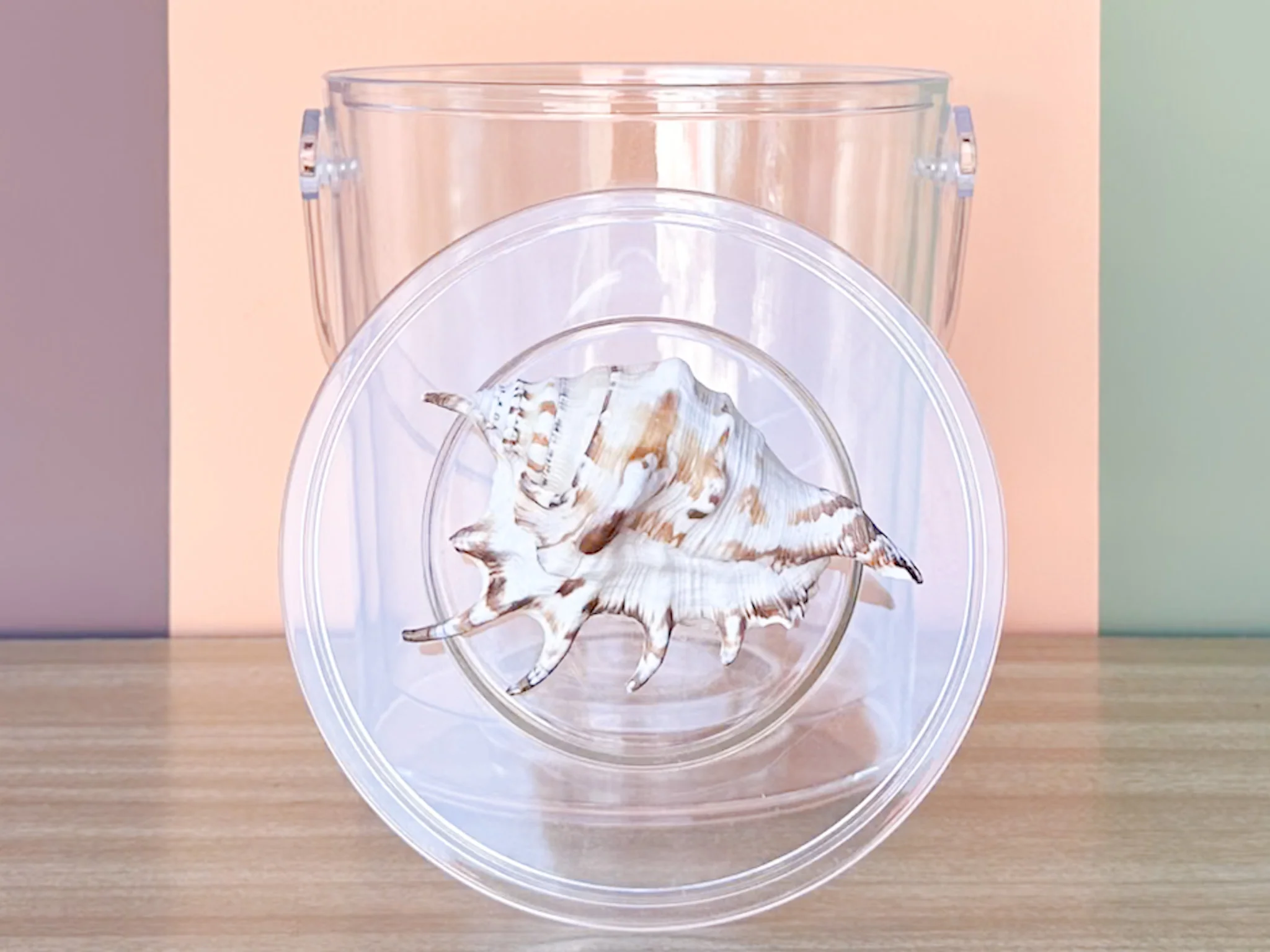 Lucite Shell Ice Bucket - Image 9