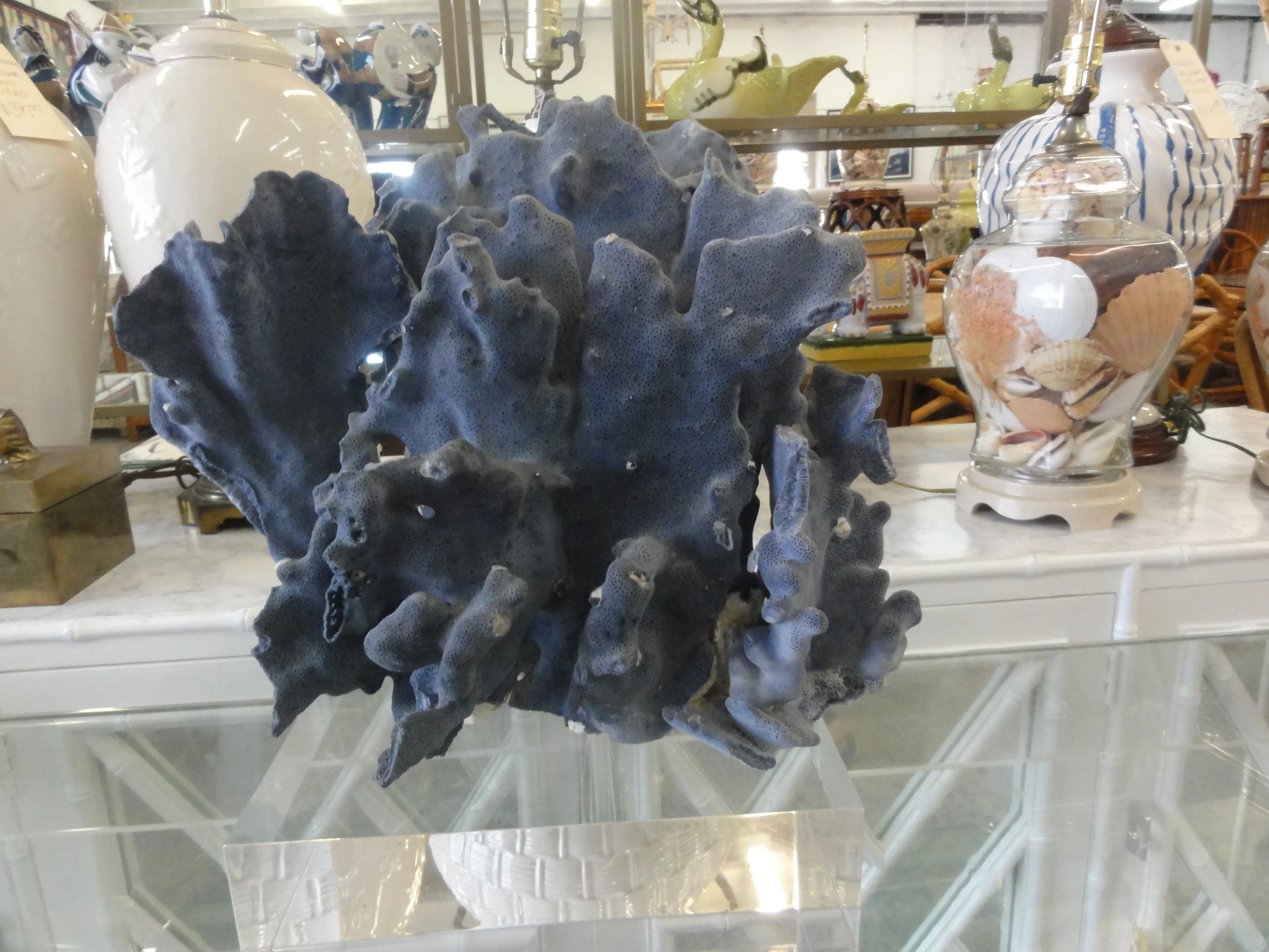 Natural Blue Coral on Lucite - Image 4