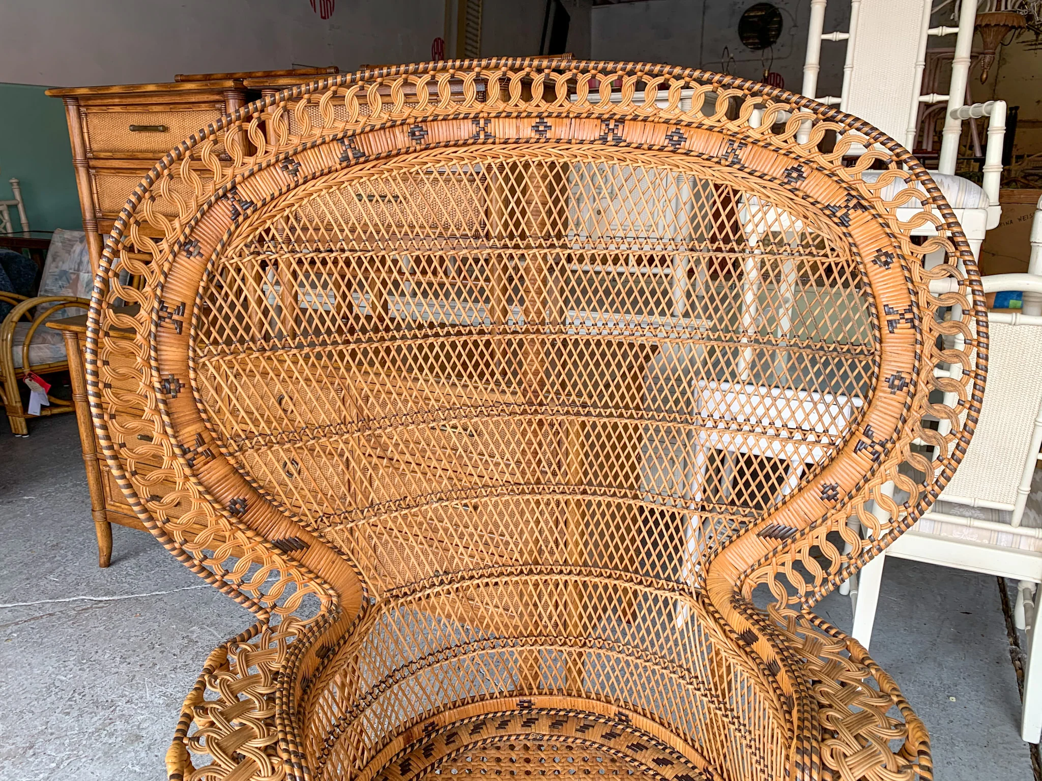 Natural Peacock Fan Chair - Image 6