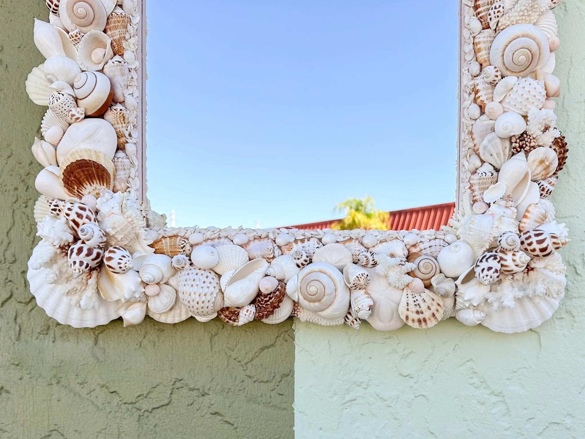Naturally Beautiful Shell Mirror - Image 10