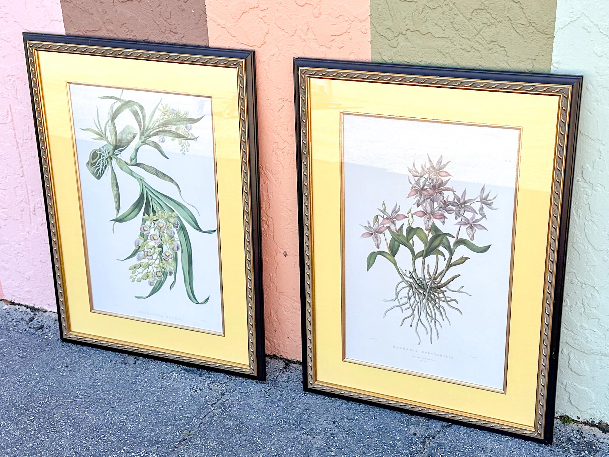 Pair of Botanical Prints from The Breakers - Image 2