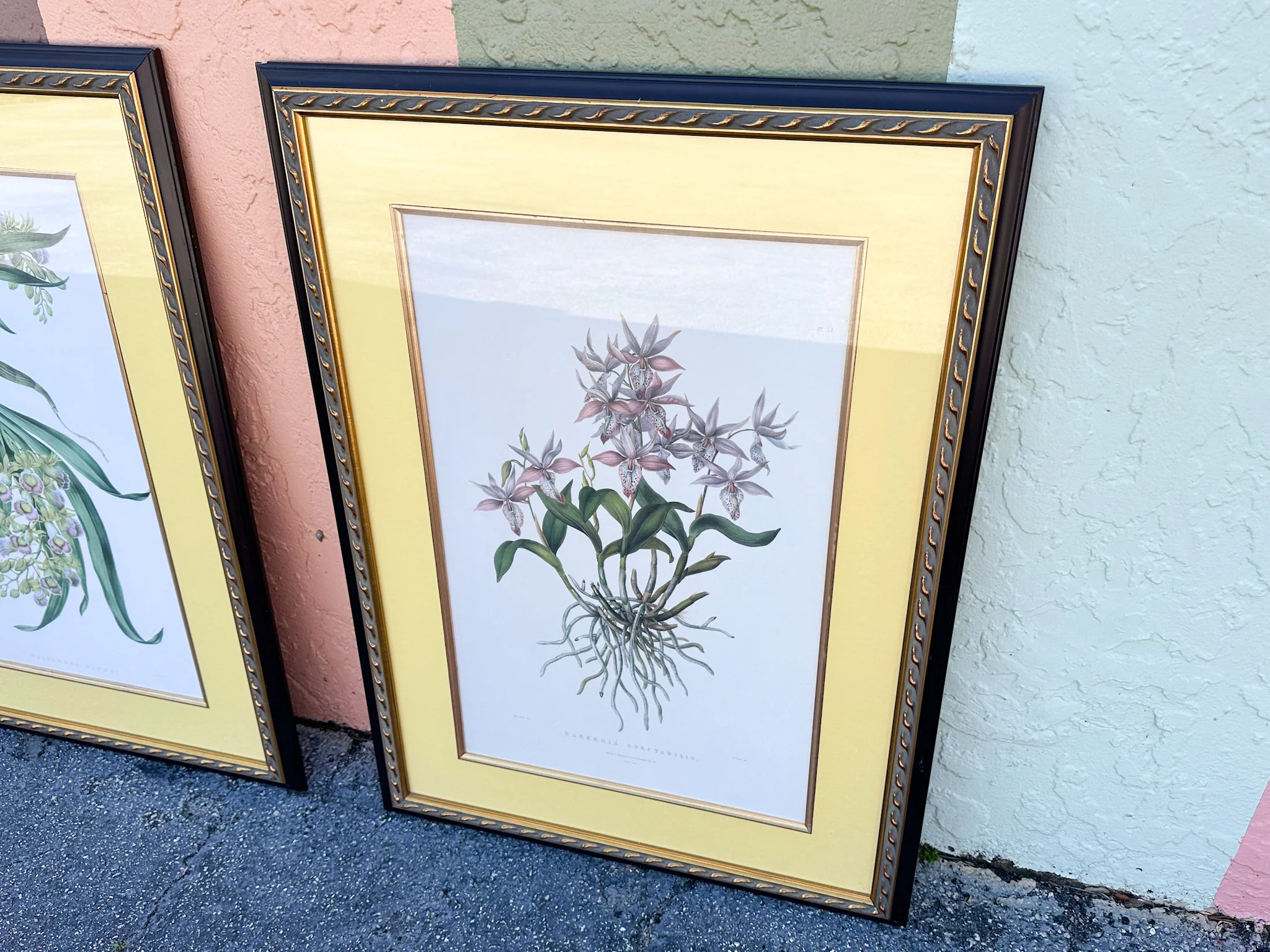 Pair of Botanical Prints from The Breakers - Image 6