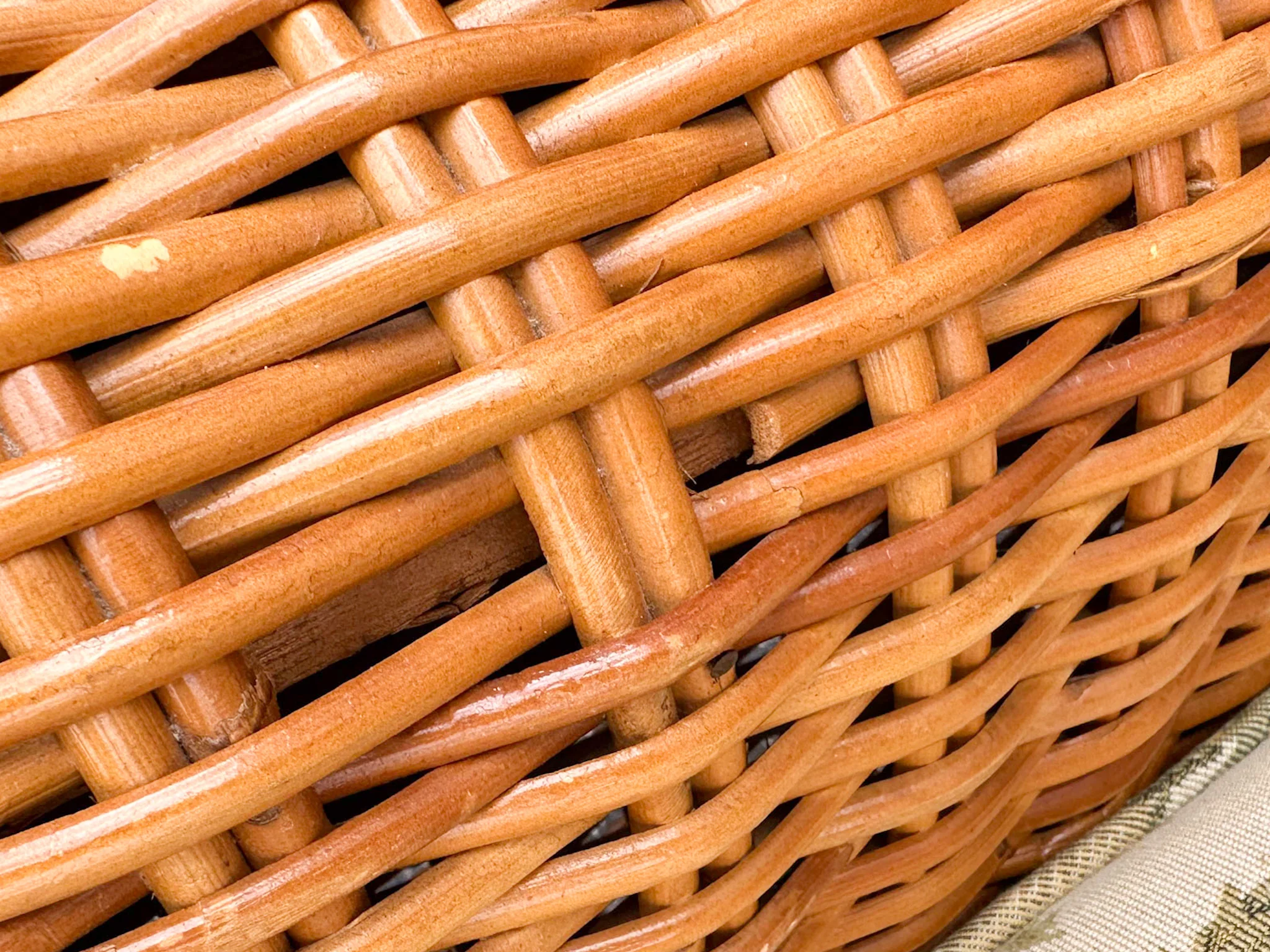 Pair of Coastal Rattan Lounge Chairs - Image 15