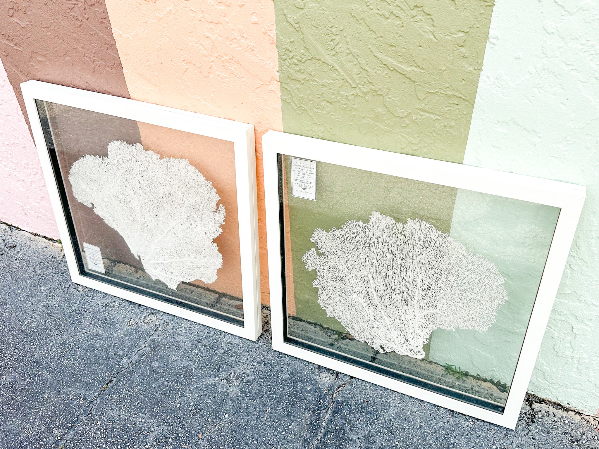 Pair of Coastal Sea Fan Art - Image 4
