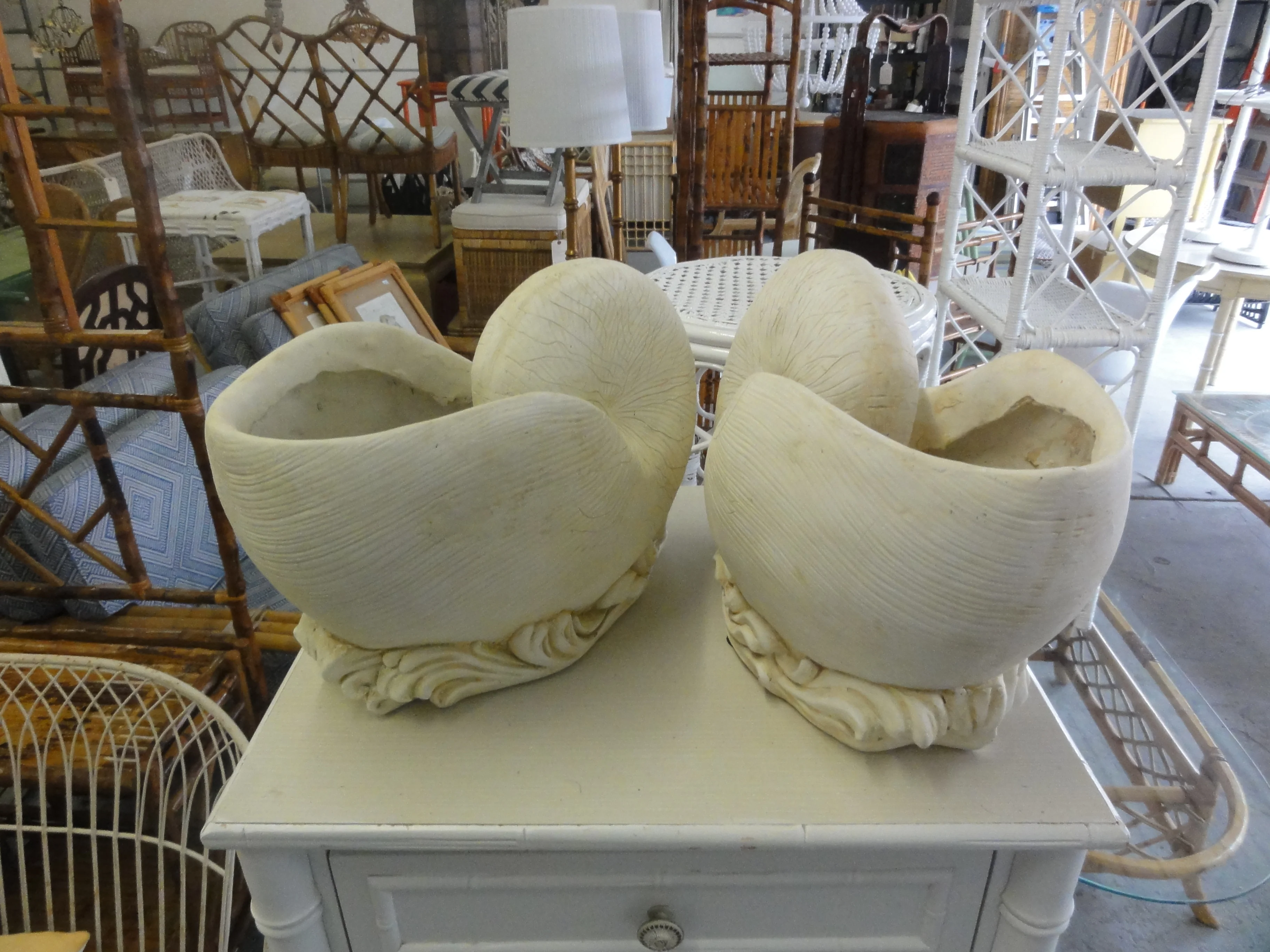 Pair of Composite Shell Cachepot - Image 2