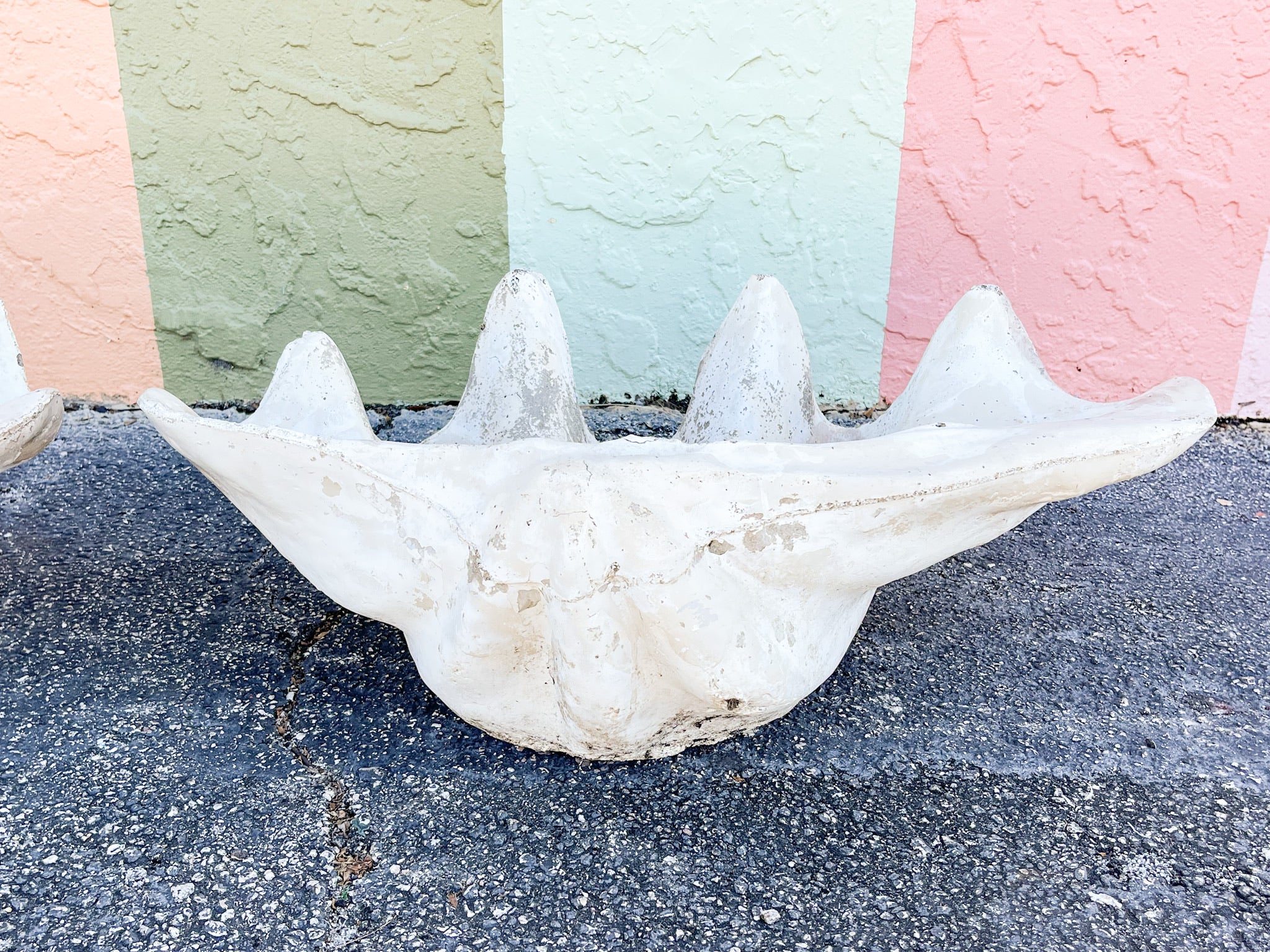 Pair of Concrete Clam Shells - Image 6