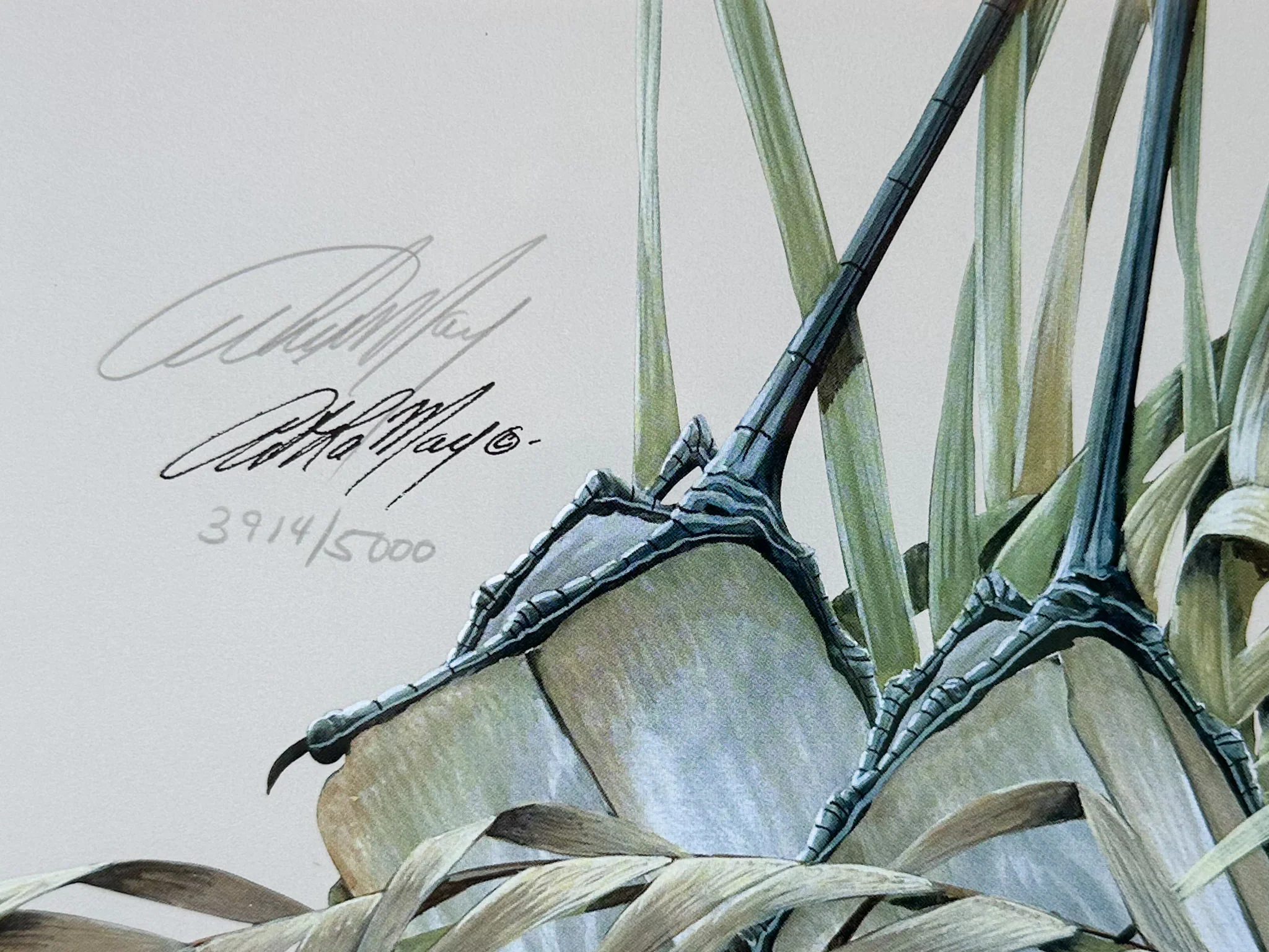 Pair of Old Florida Heron Original Signed Art - Image 11