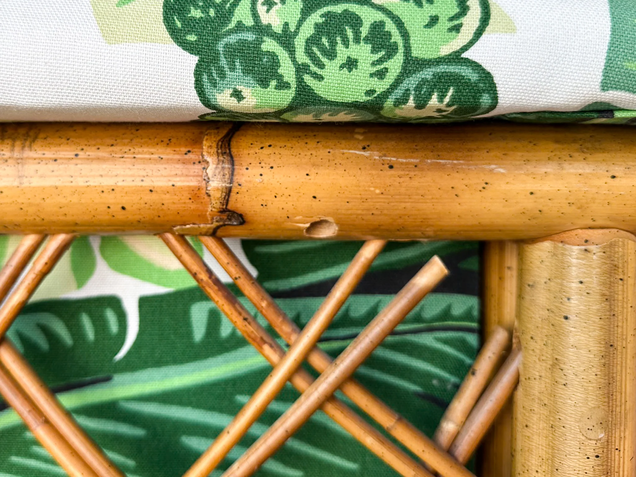 Pair of Rattan and Upholstered Palm Print Club Chairs - Image 18