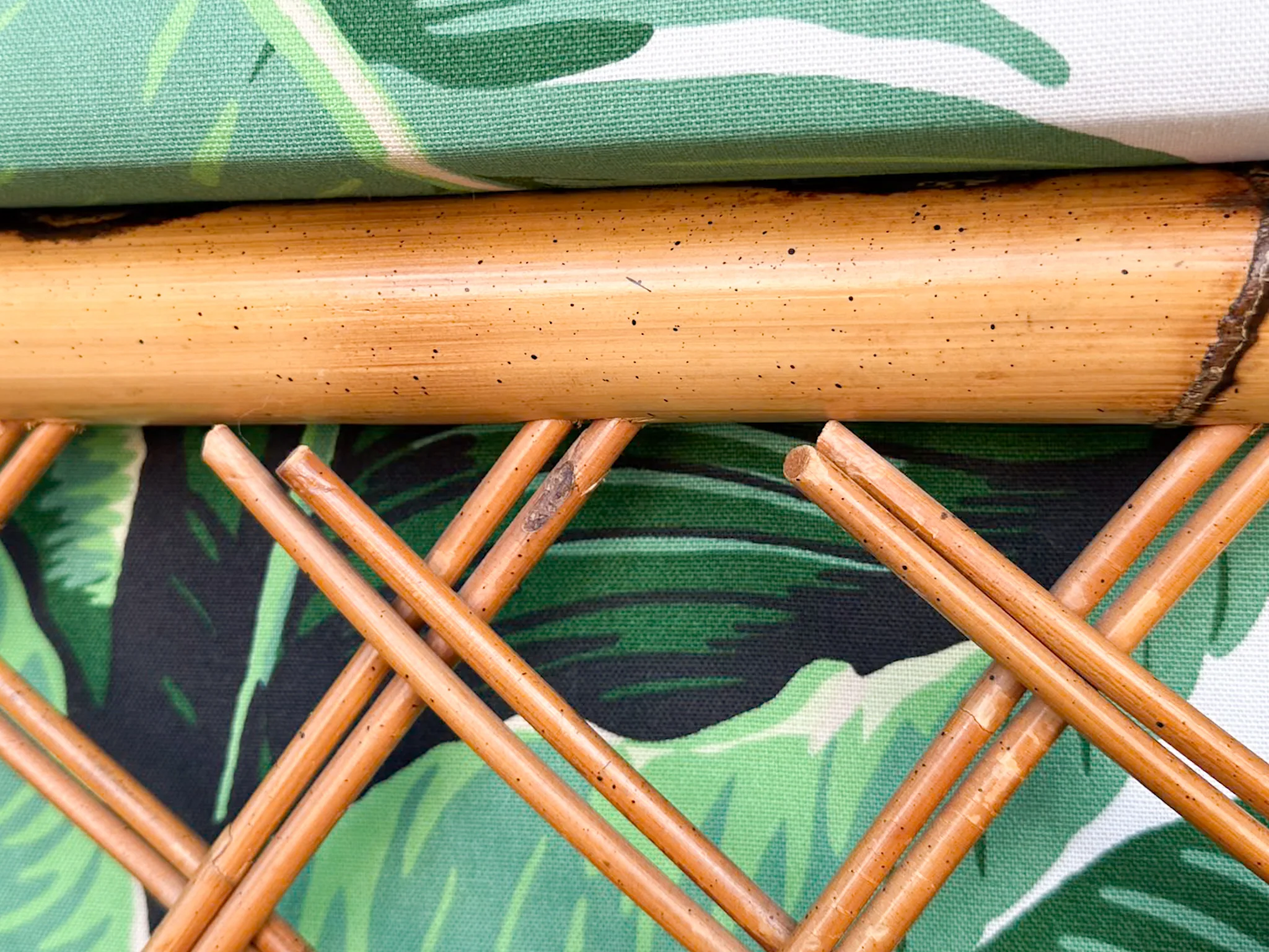 Pair of Rattan and Upholstered Palm Print Club Chairs - Image 20