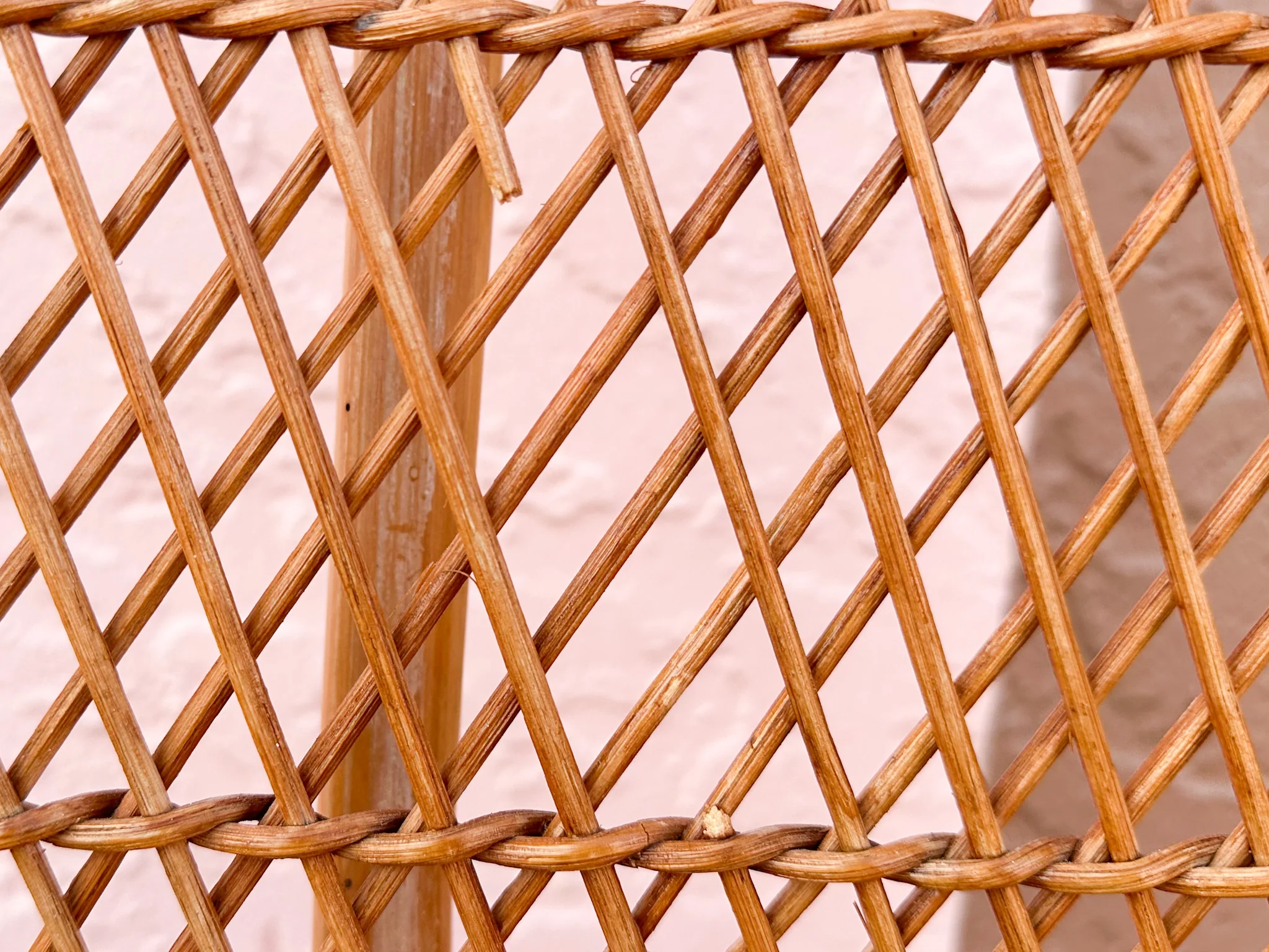 Pair of Rattan Balloon Back Chairs - Image 9