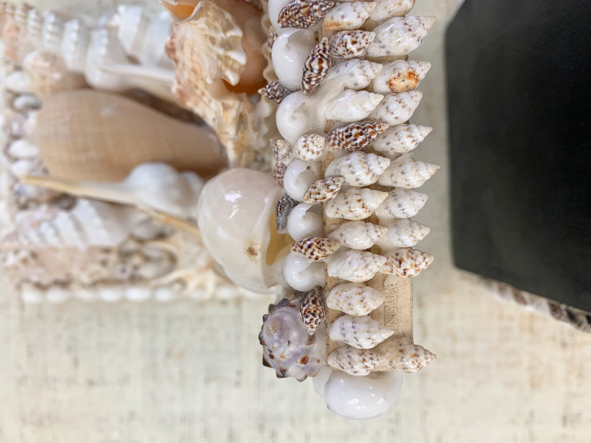 Pair of Seashell Bookends - Image 4