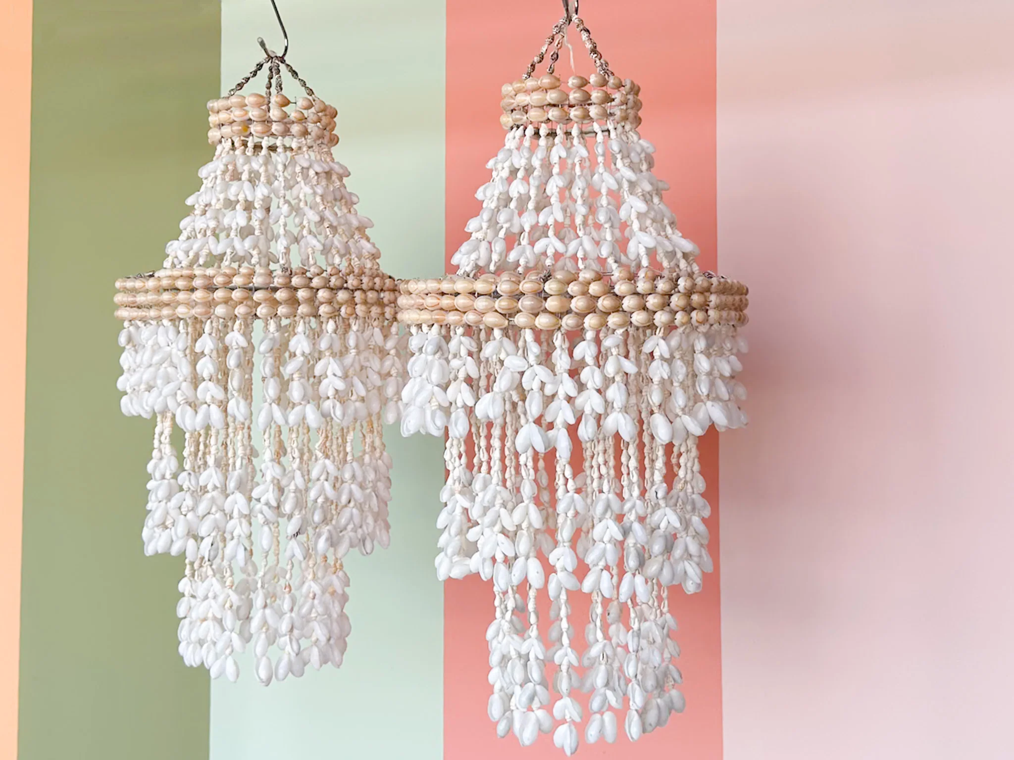 Pair of Shell Chandeliers - Image 2