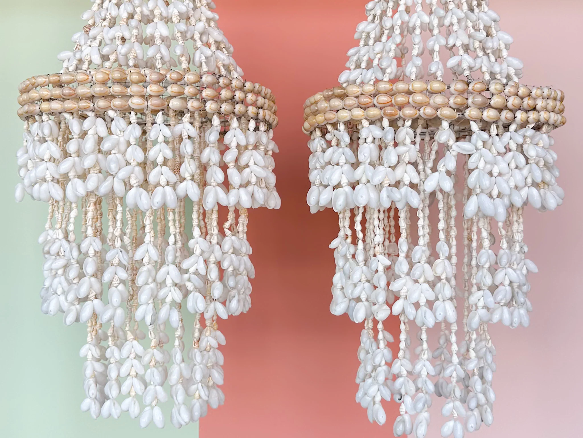 Pair of Shell Chandeliers - Image 5