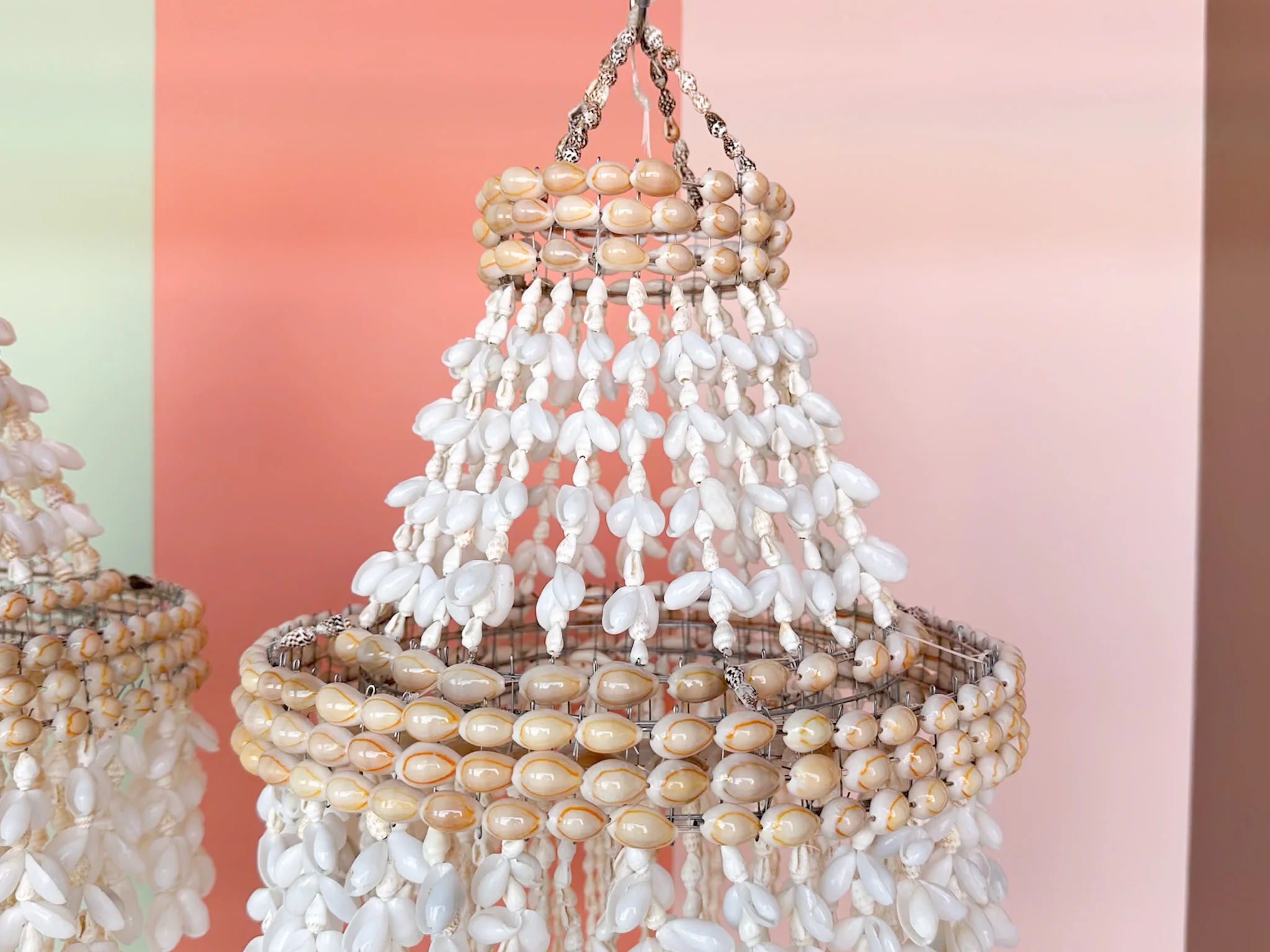 Pair of Shell Chandeliers - Image 7