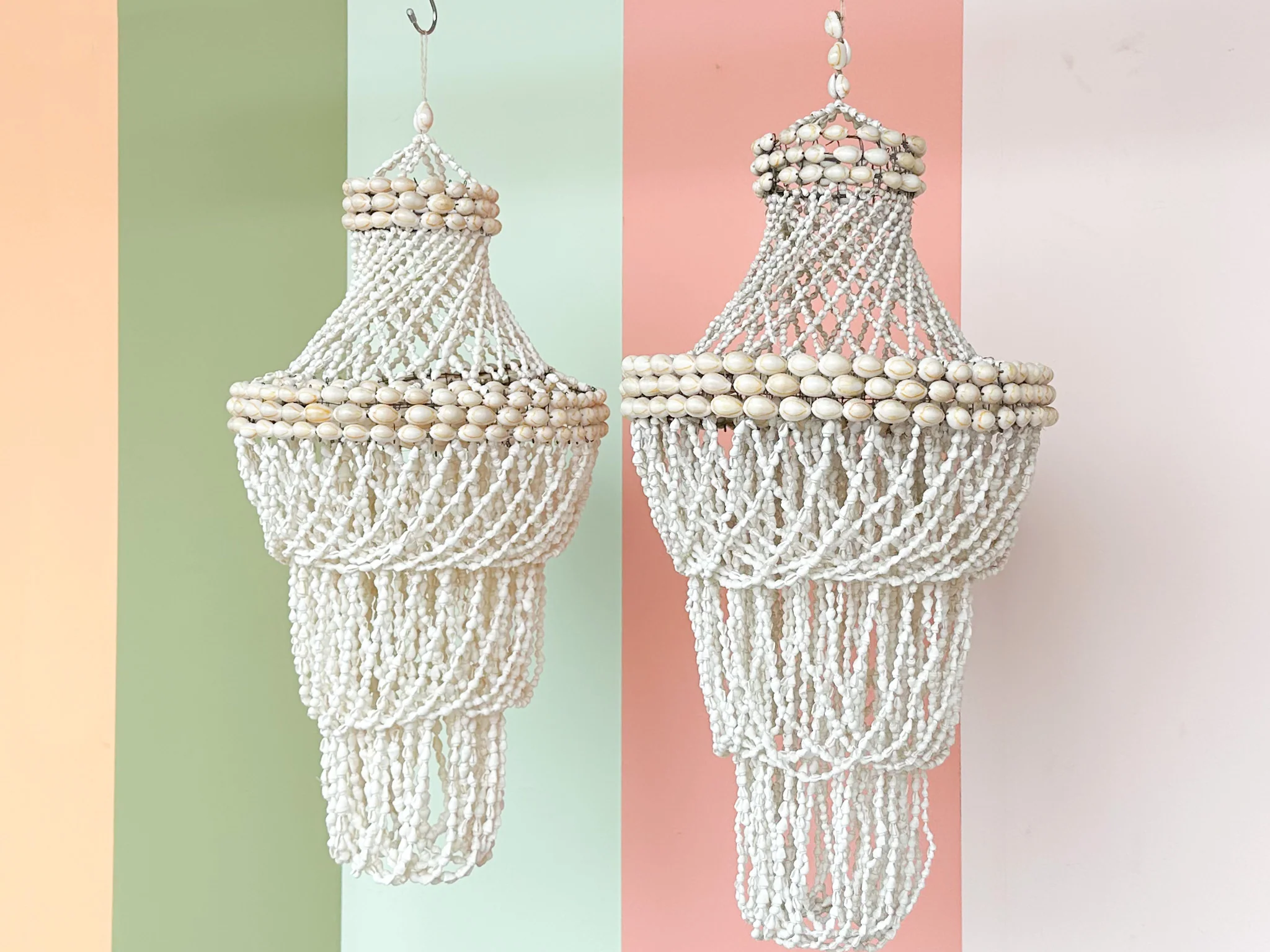 Pair of Shell Chandeliers - Image 4