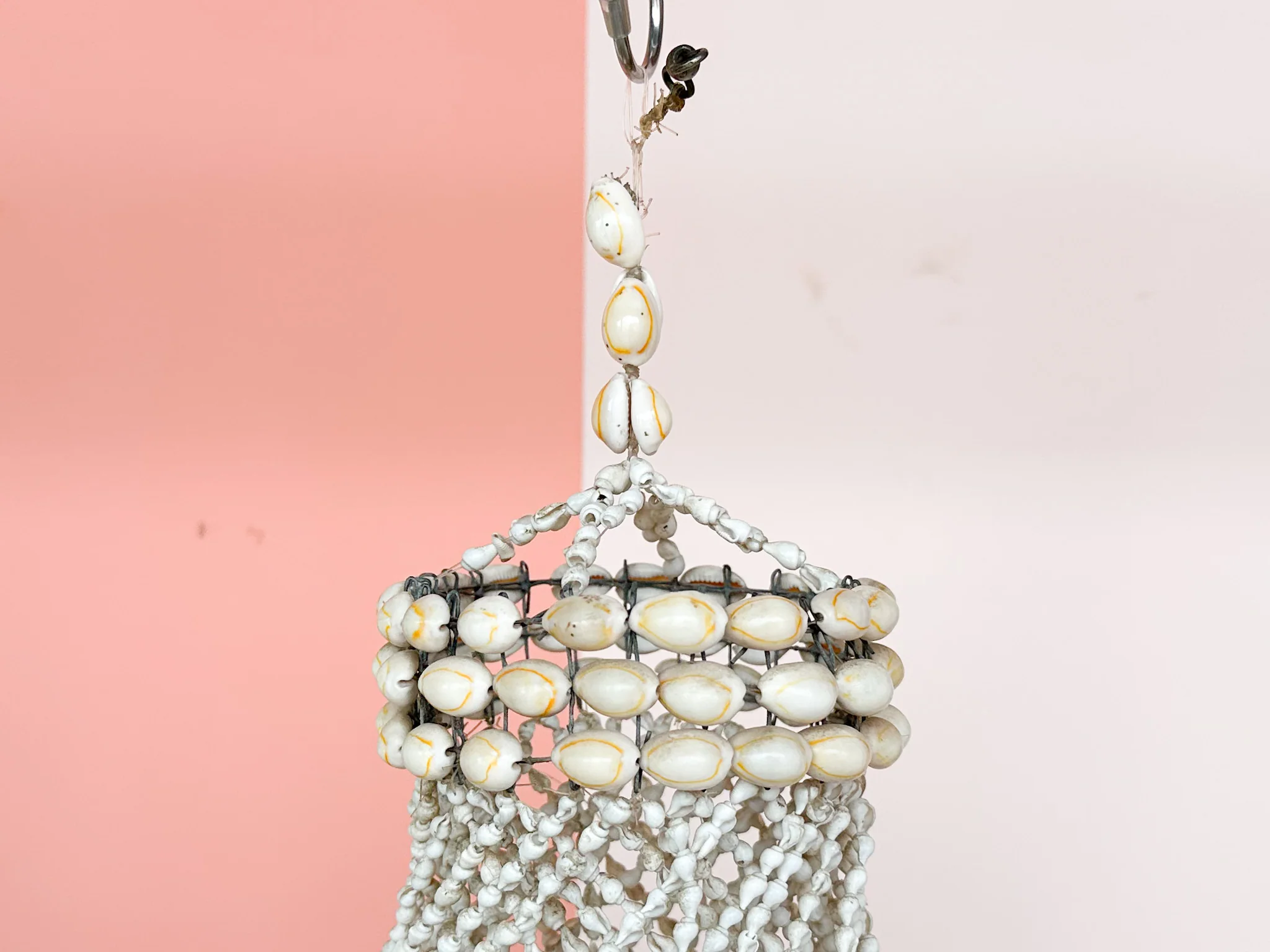 Pair of Shell Chandeliers - Image 6
