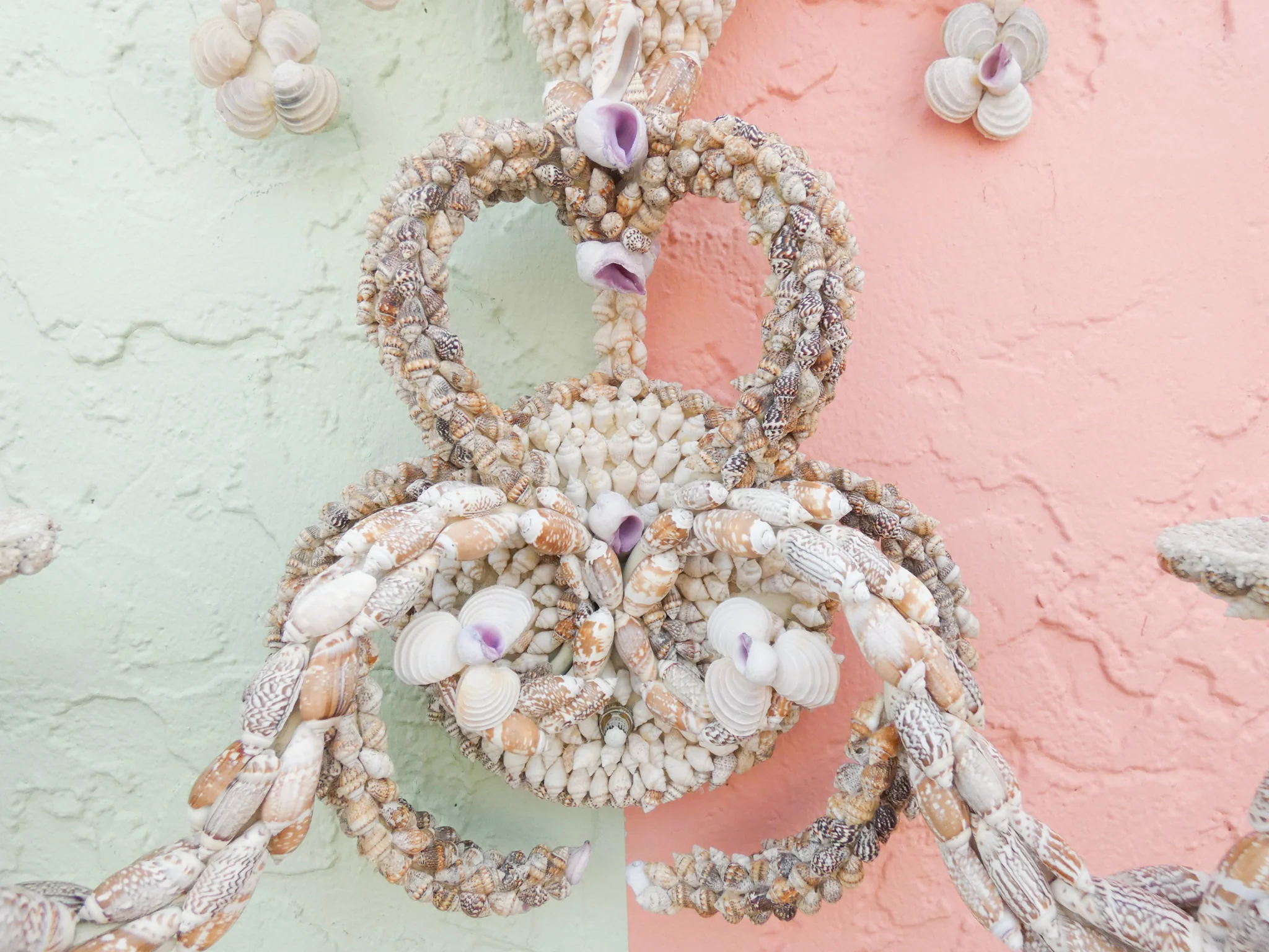 Pair of Shell Encrusted Wall Sconces - Image 10