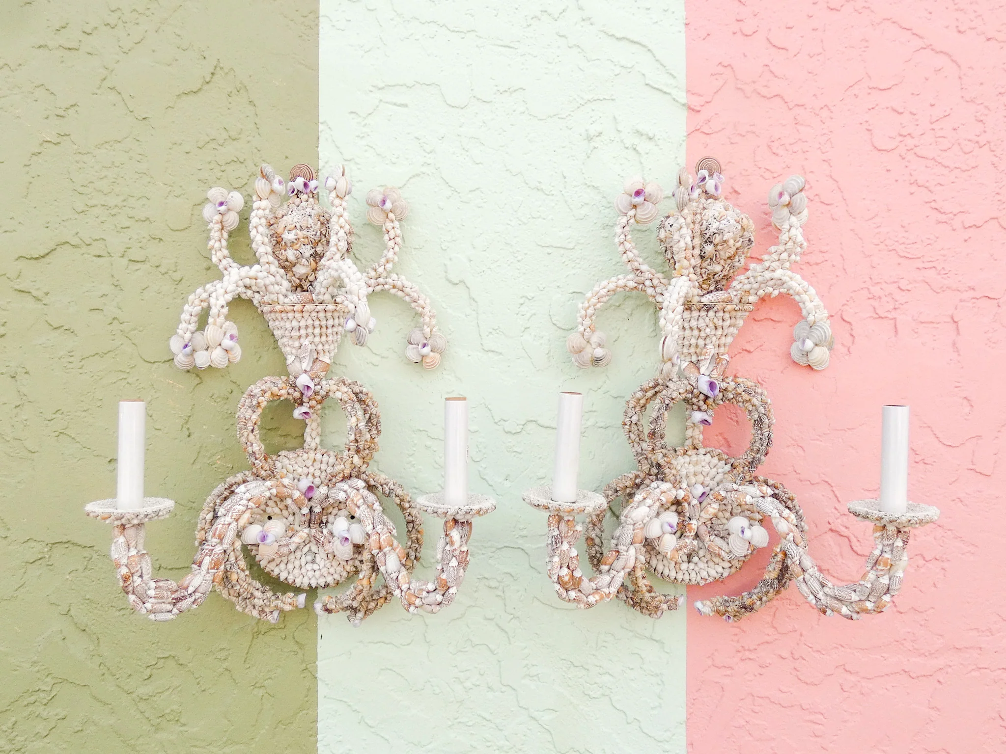 Pair of Shell Encrusted Wall Sconces - Image 13