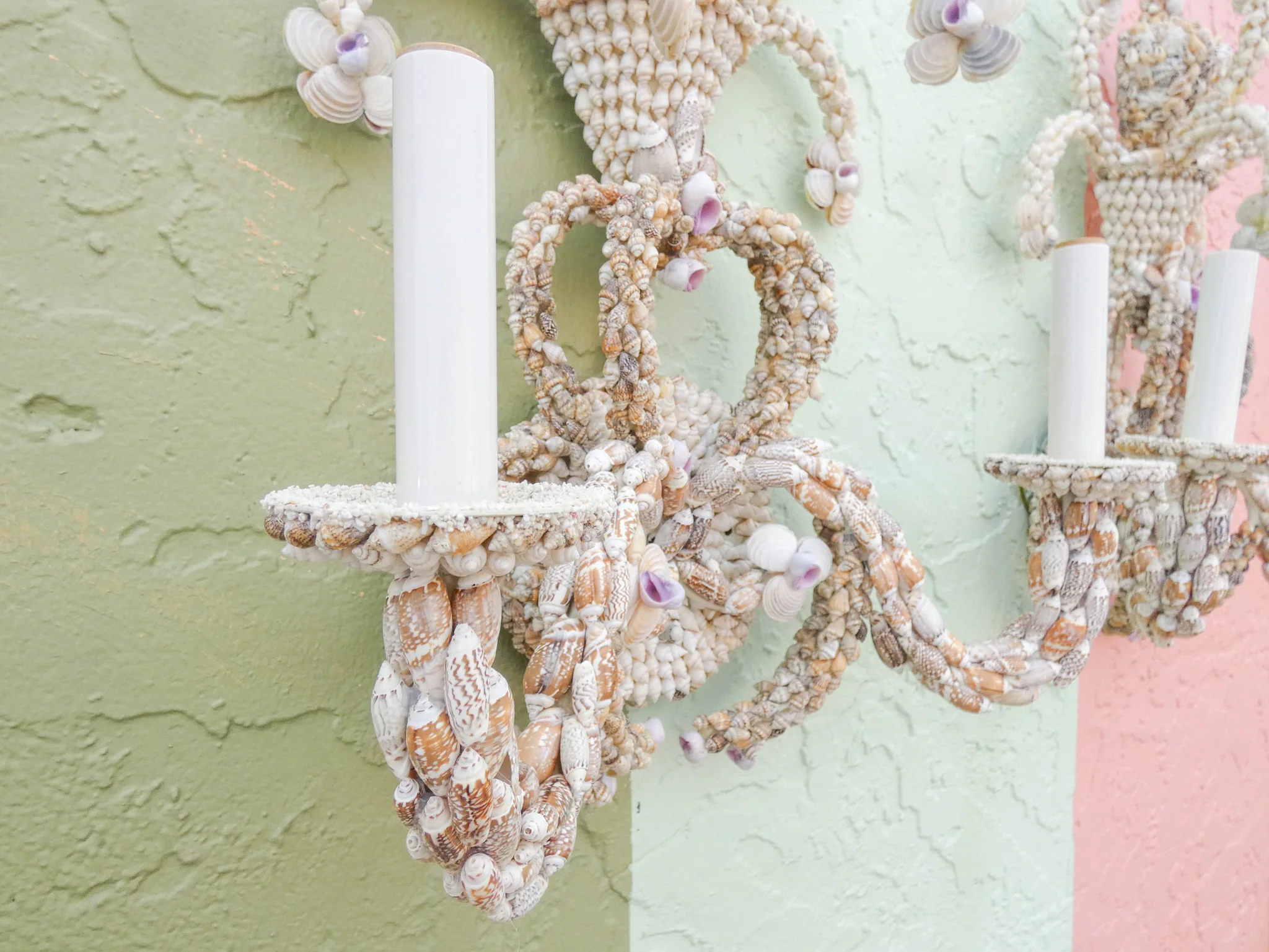 Pair of Shell Encrusted Wall Sconces - Image 7